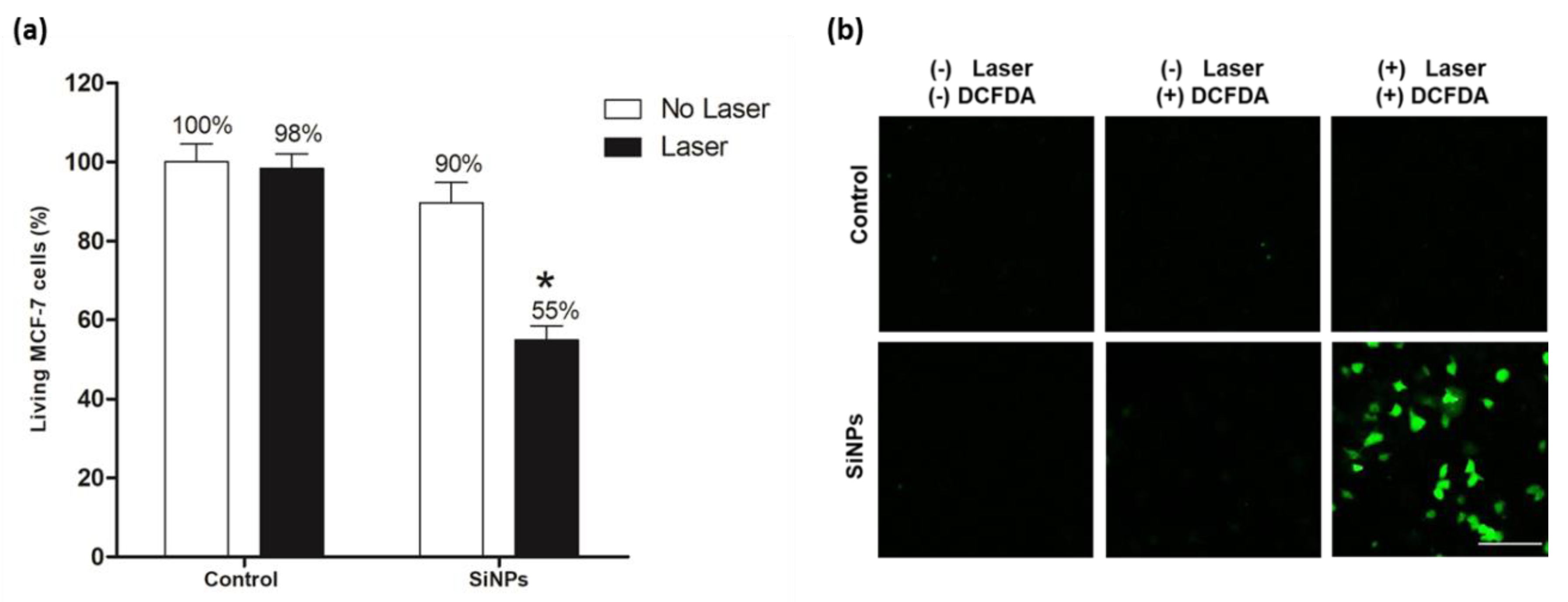 Nanomaterials 10 01462 g003 Nanomaterials 10 01462 g003
