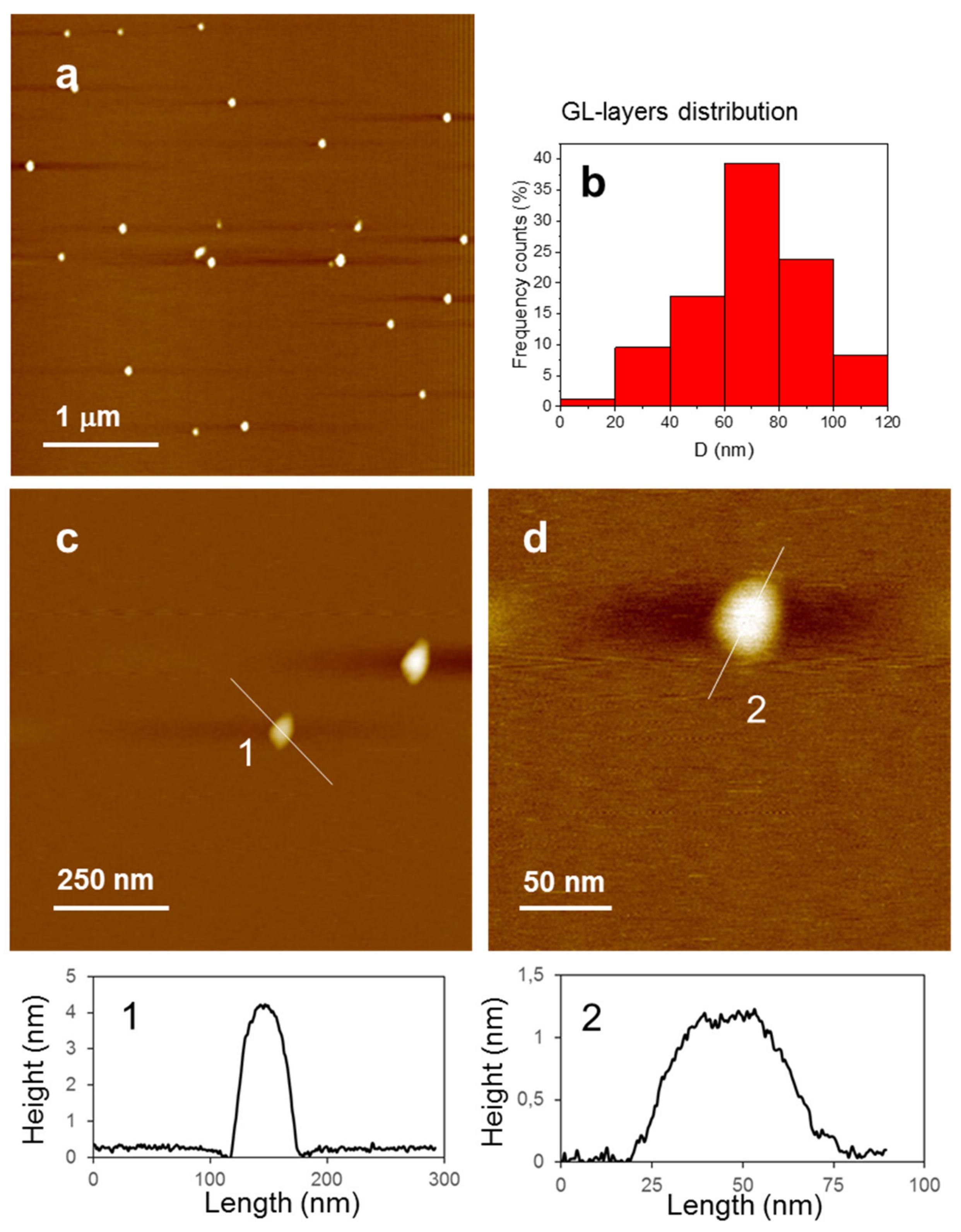 Nanomaterials 10 01472 g001