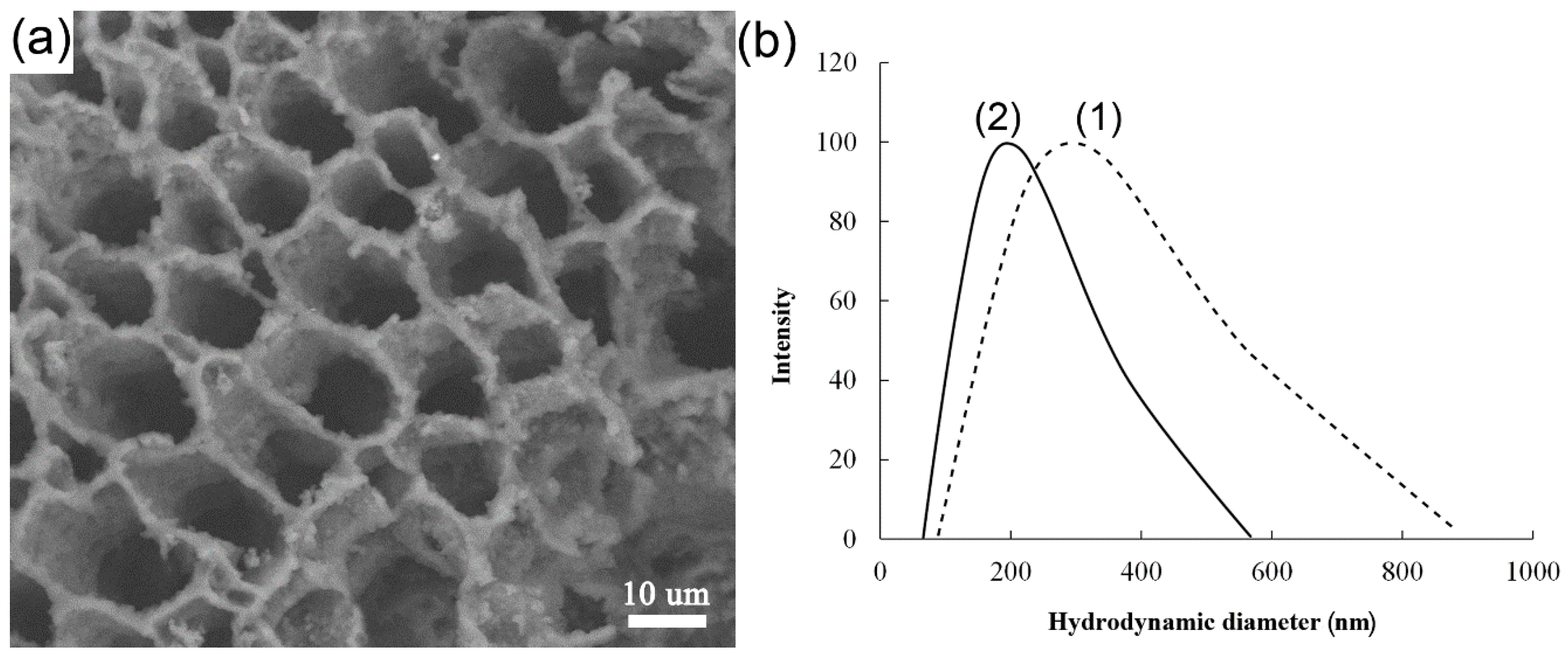Nanomaterials 10 01477 g001