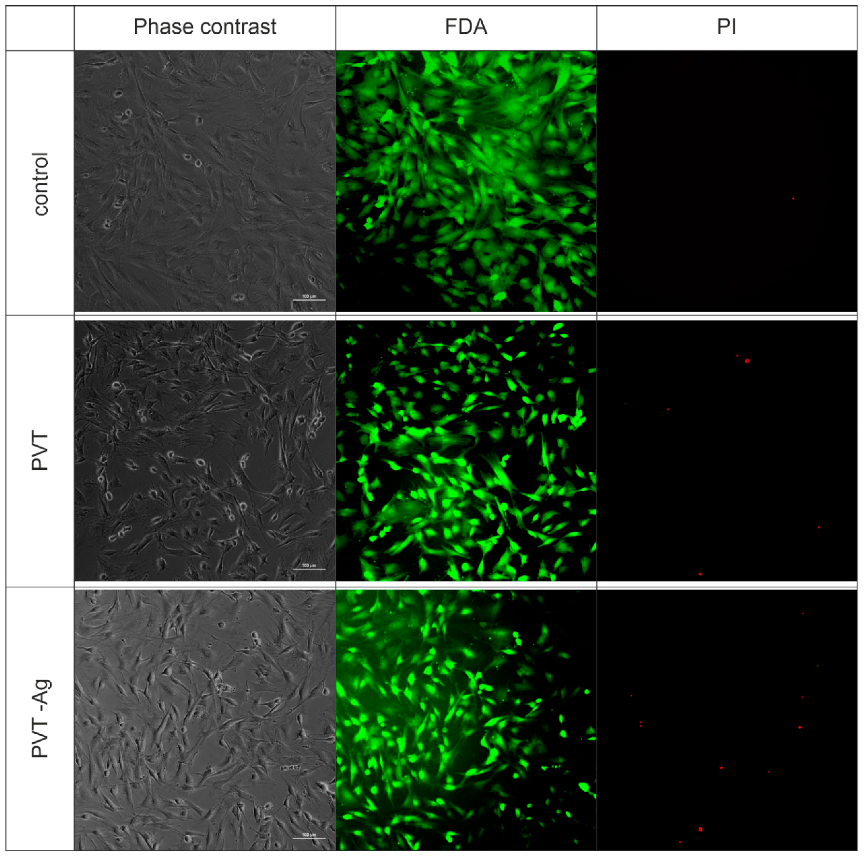 Nanomaterials 10 01477 g007