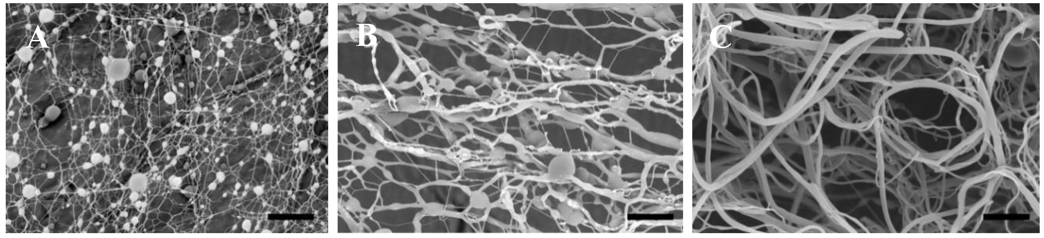 Nanomaterials 10 01478 g003 Nanomaterials 10 01478 g003