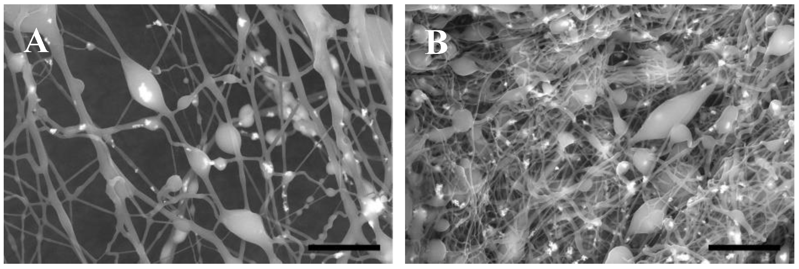 Nanomaterials 10 01478 g005 Nanomaterials 10 01478 g005