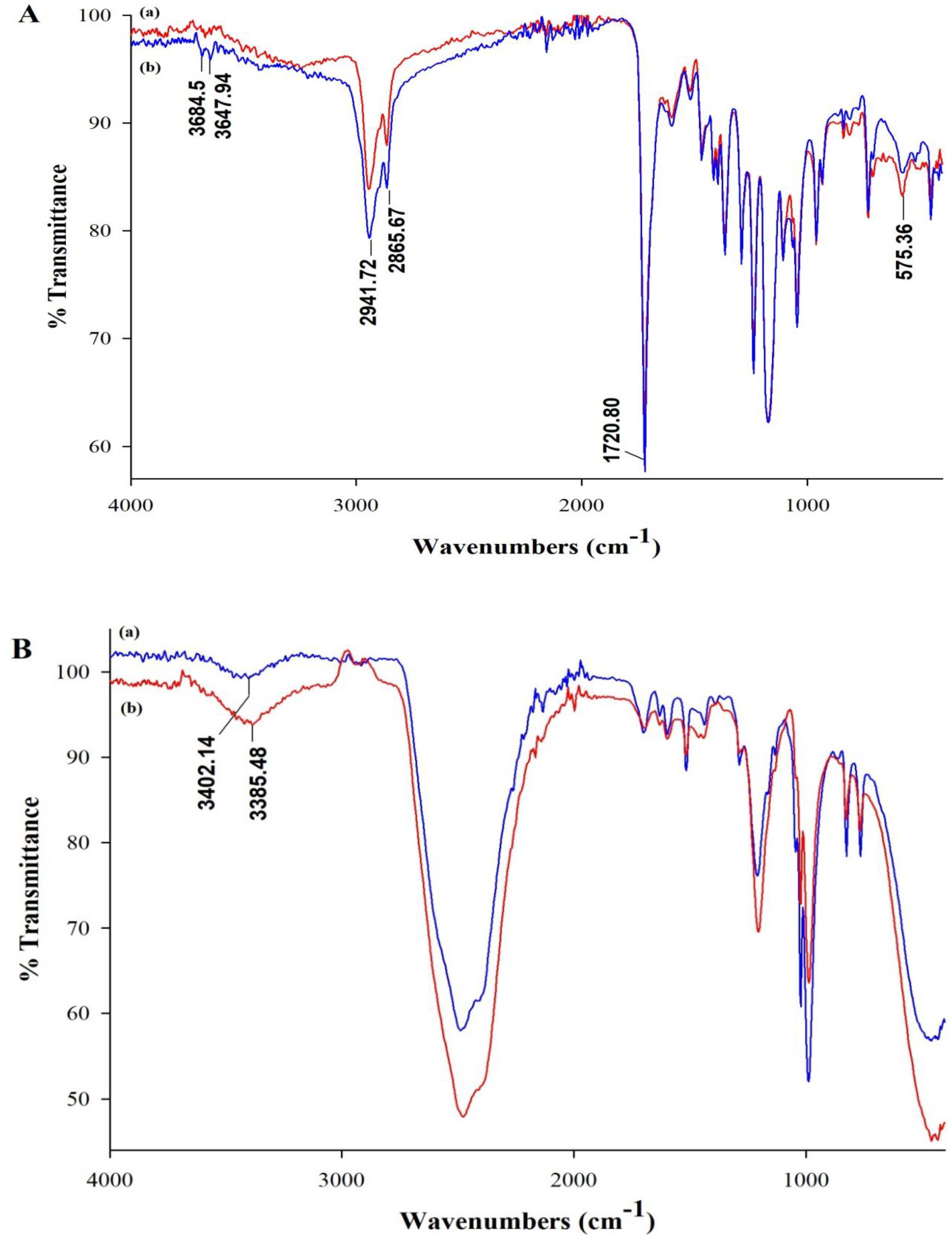 Nanomaterials 10 01478 g006 Nanomaterials 10 01478 g006