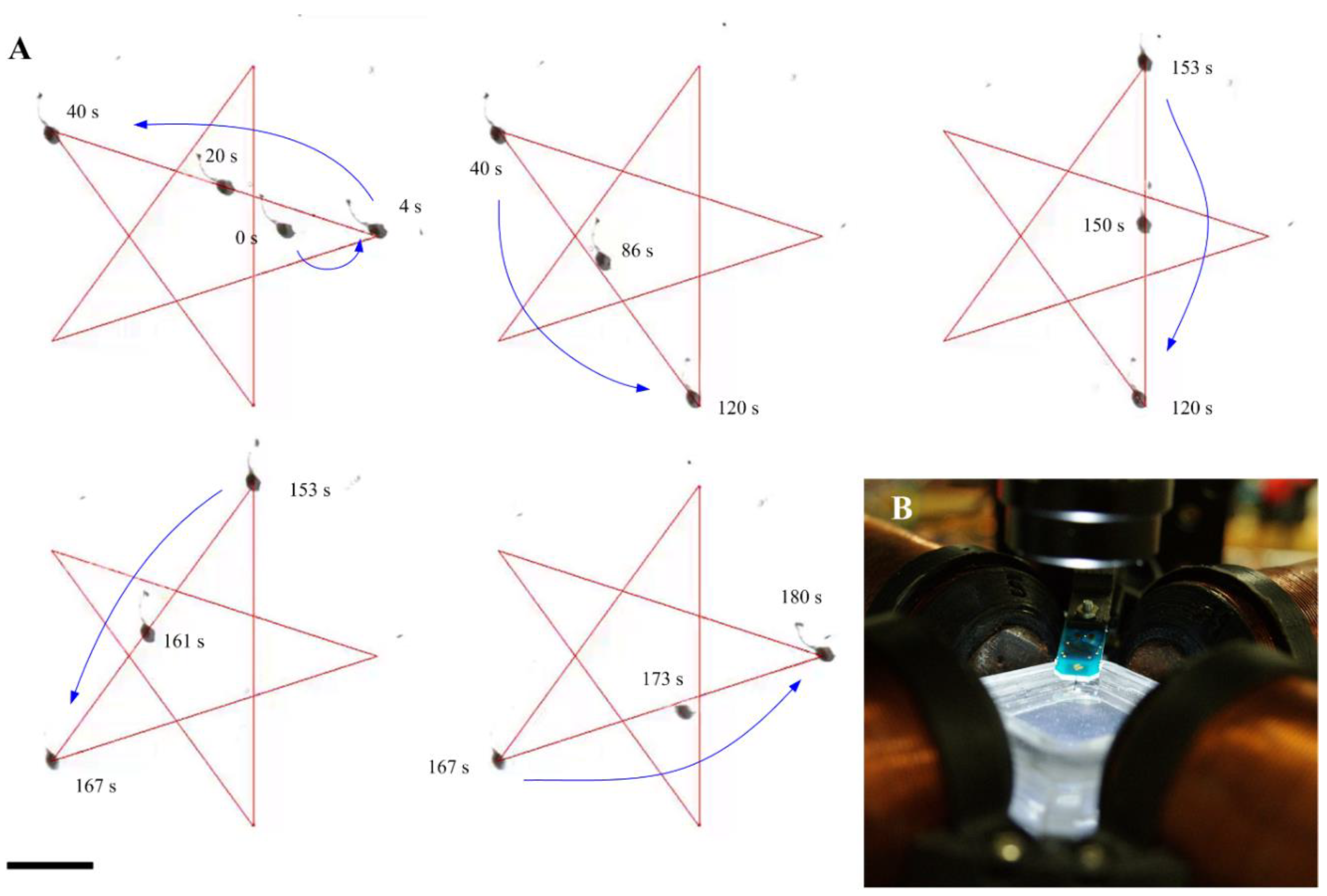 Nanomaterials 10 01478 g008 Nanomaterials 10 01478 g008