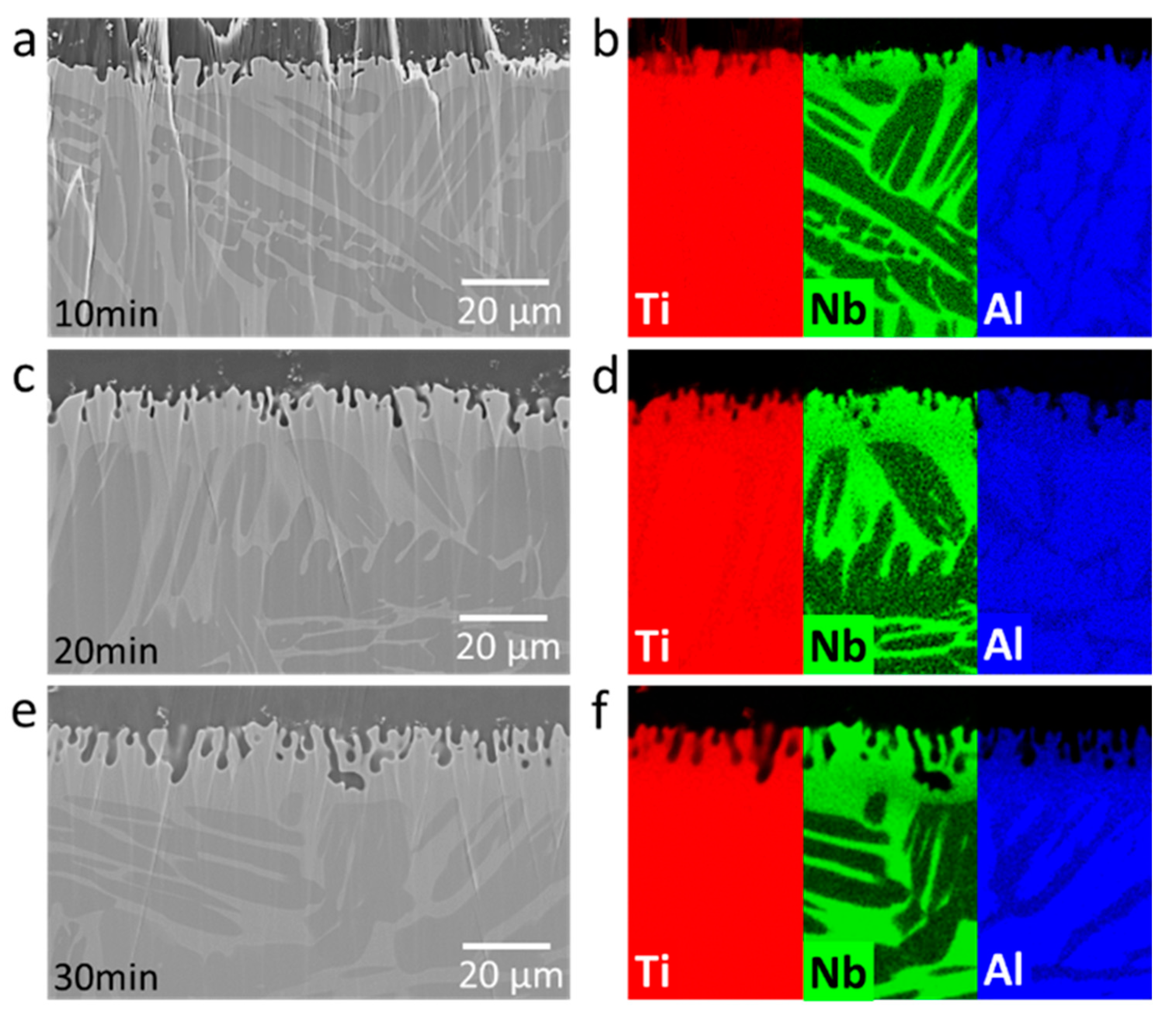 Nanomaterials 10 01479 g002