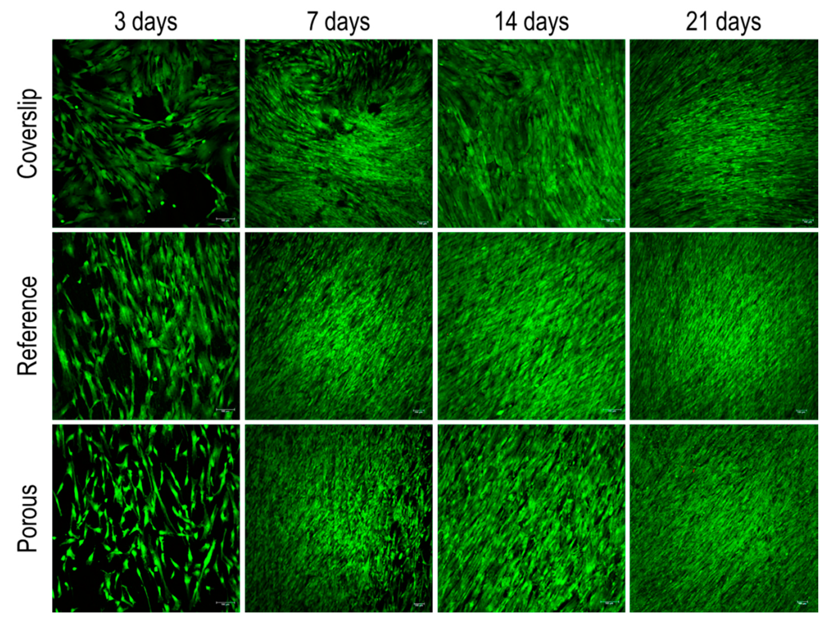 Nanomaterials 10 01479 g008