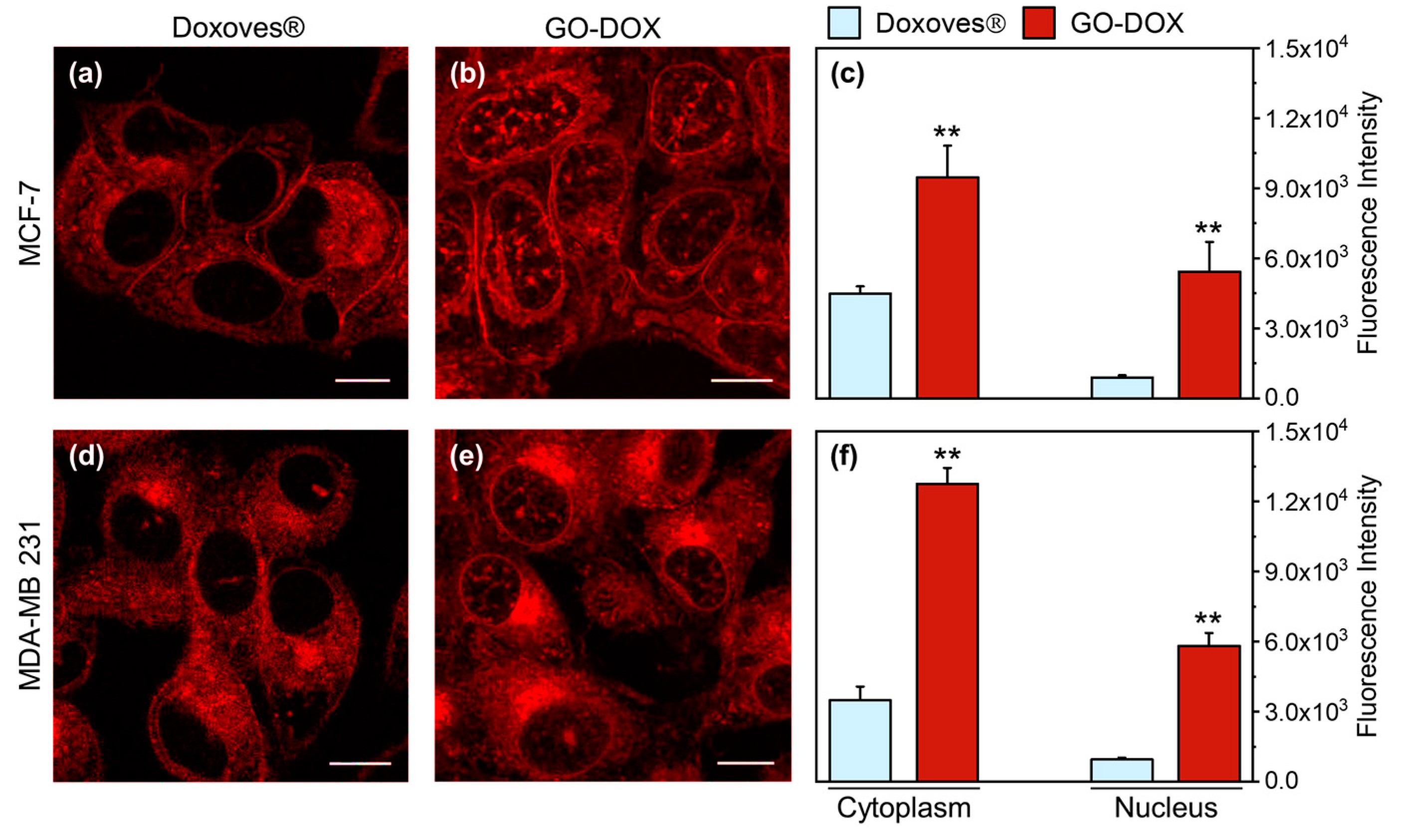 Nanomaterials 10 01482 g003
