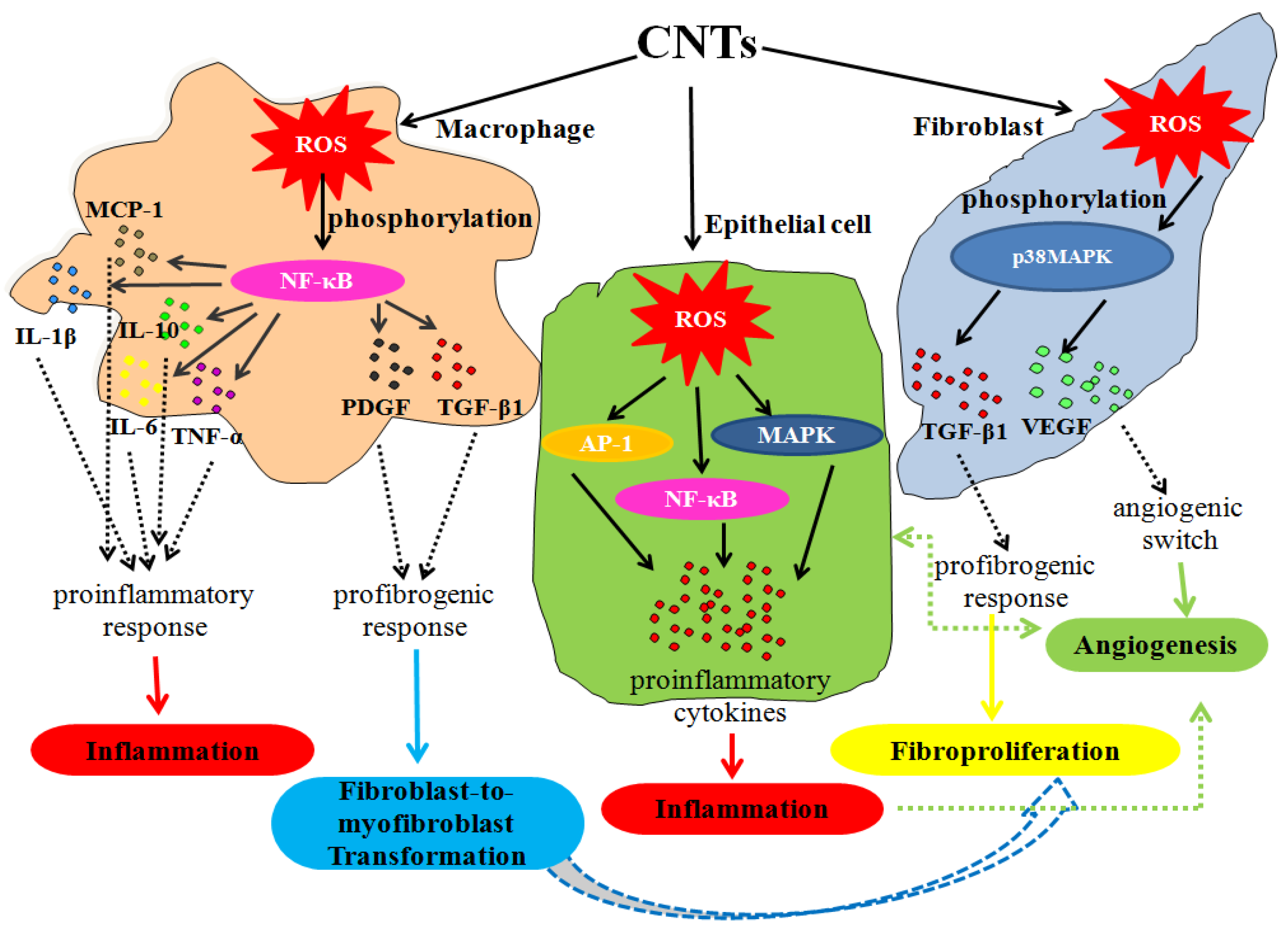 Nanomaterials 10 01508 g005