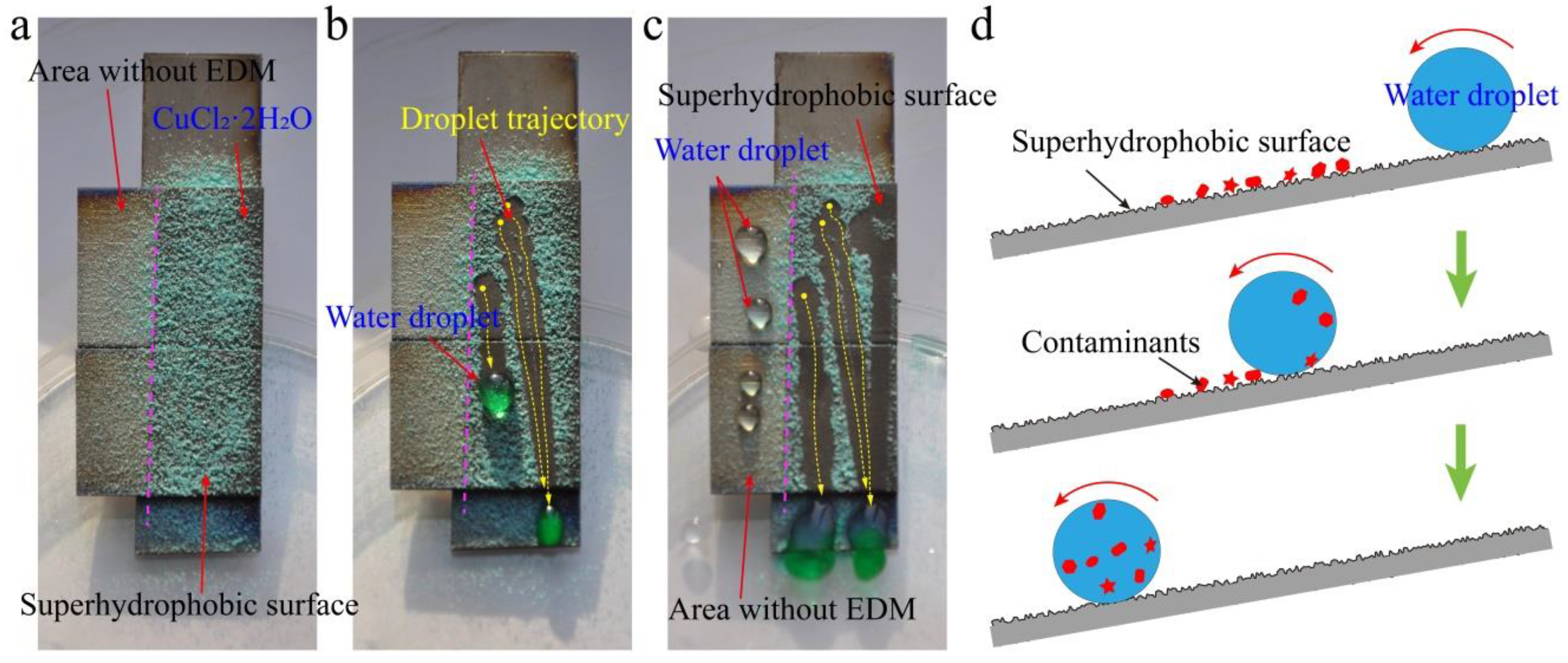 Nanomaterials 10 01509 g011 Nanomaterials 10 01509 g011