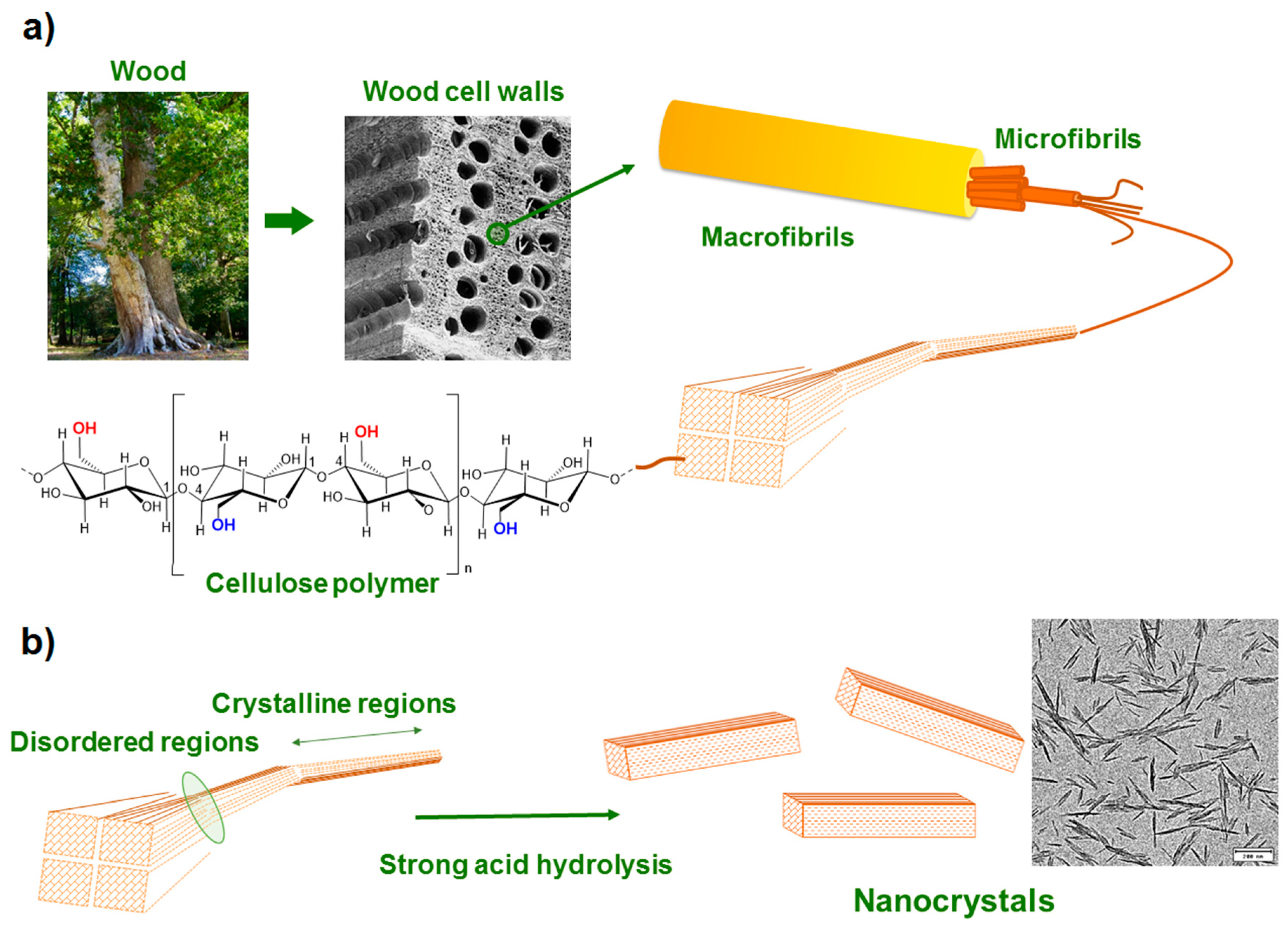 Nanomaterials 10 01523 g002