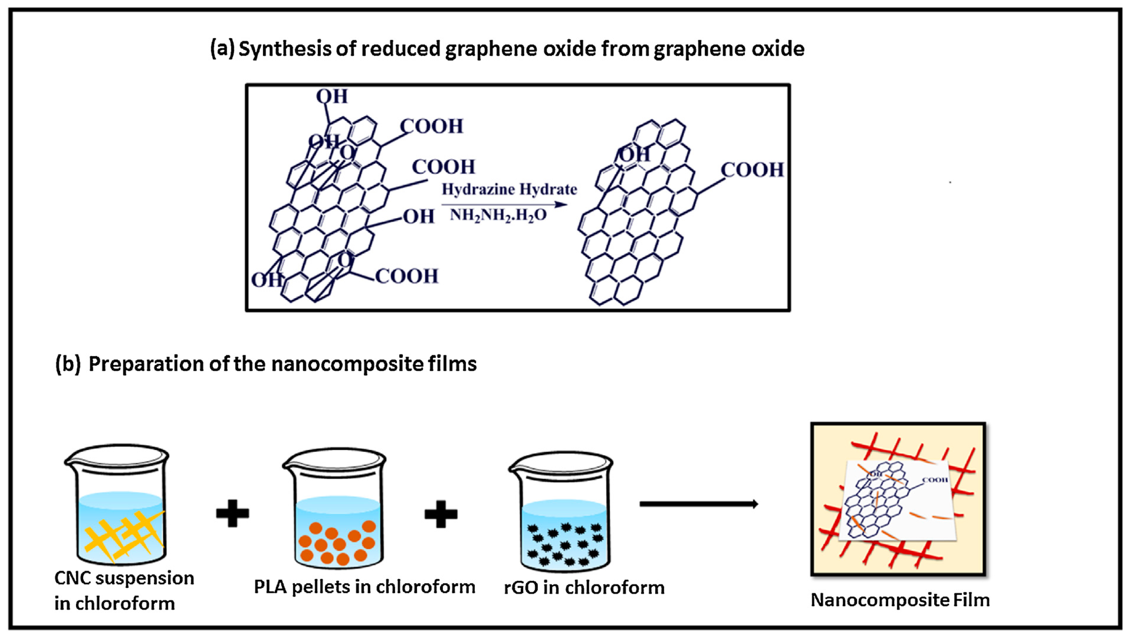 Nanomaterials 10 01523 g017
