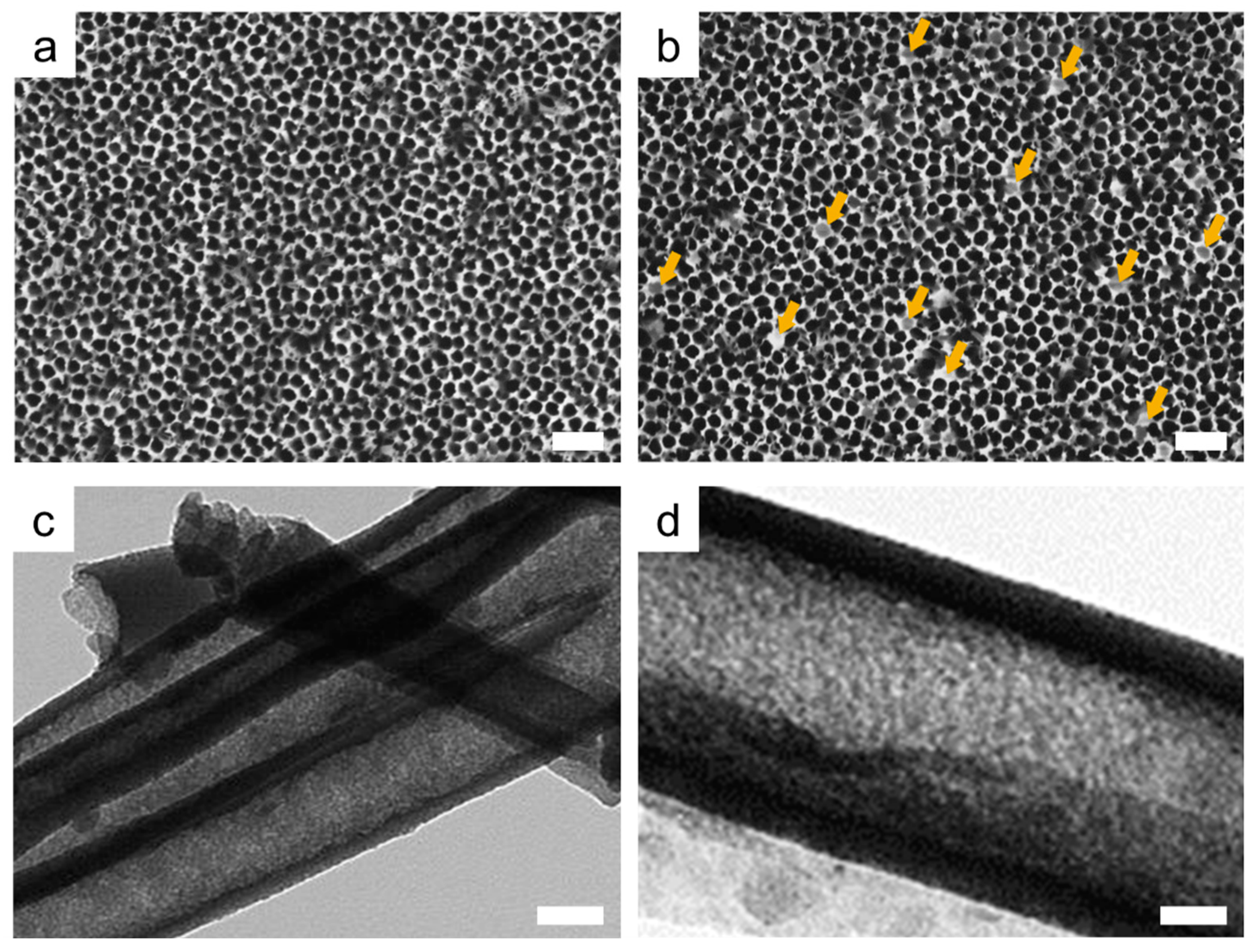Nanomaterials 10 01533 g002