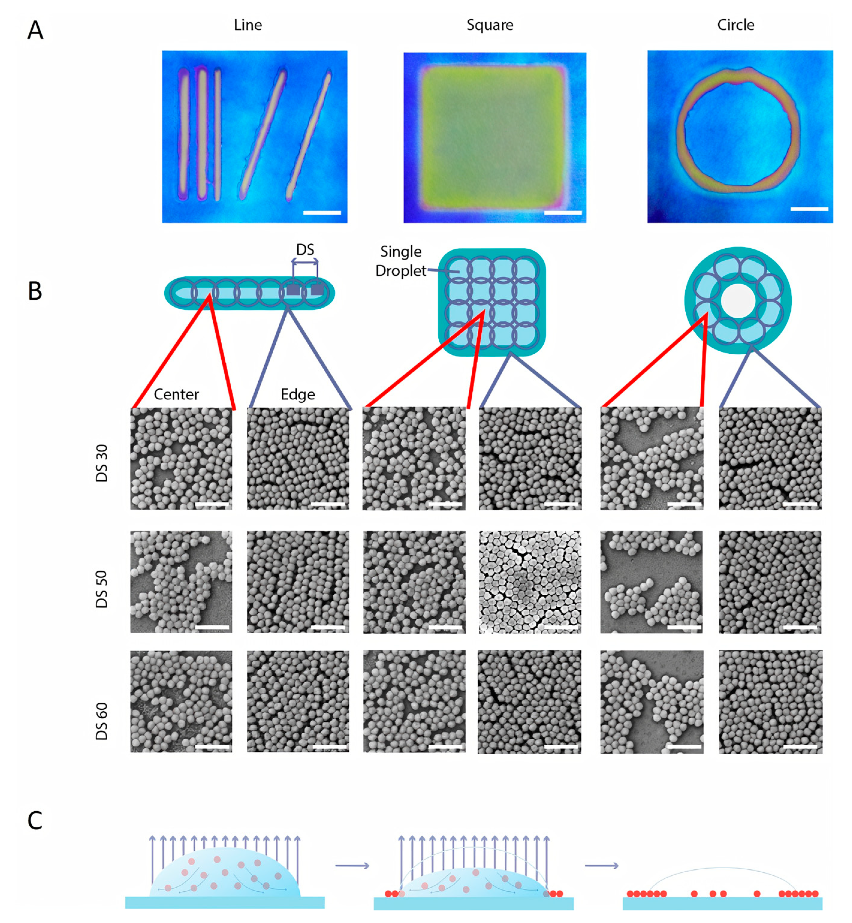 Nanomaterials 10 01538 g003