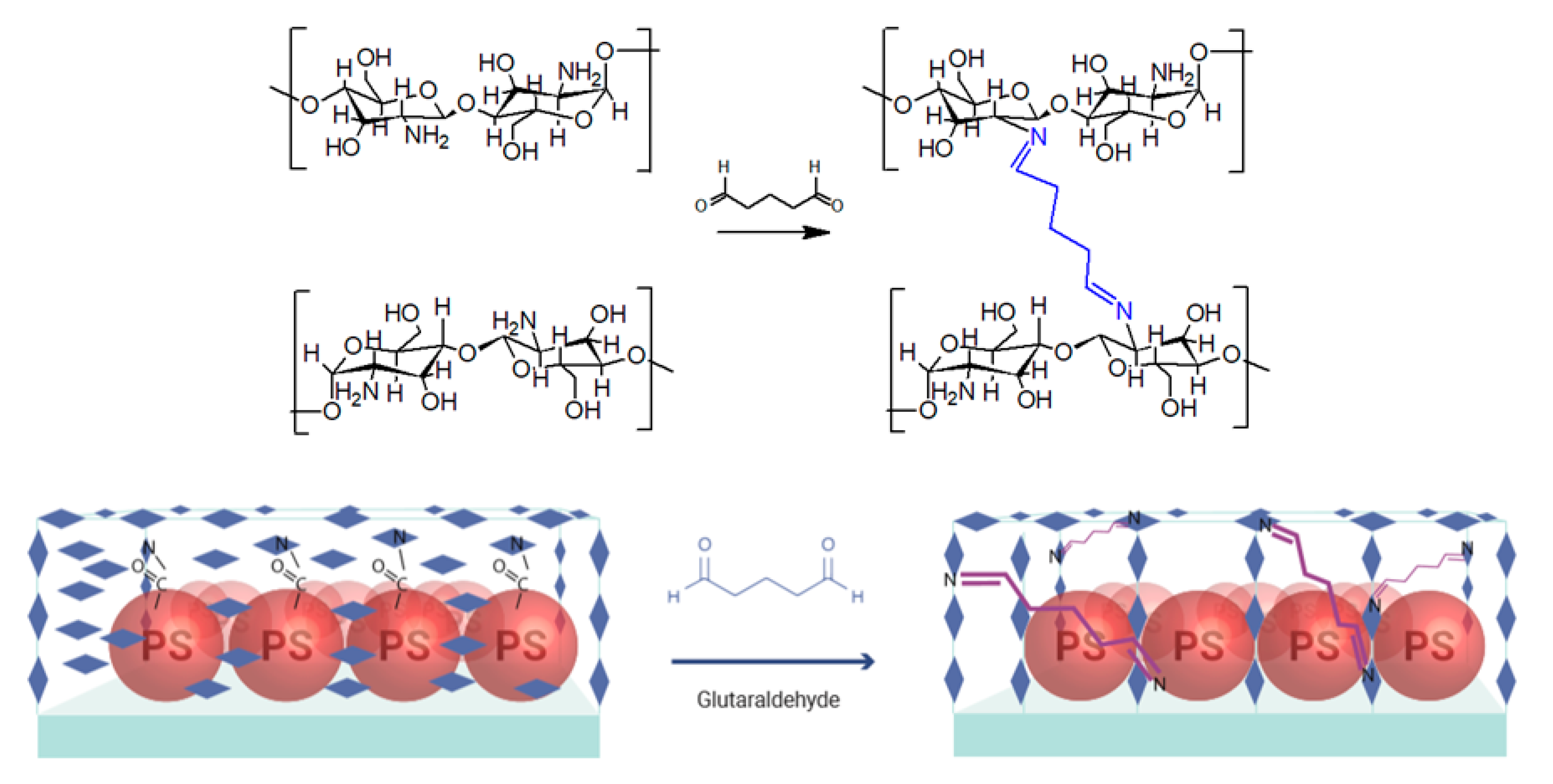 Nanomaterials 10 01538 g006