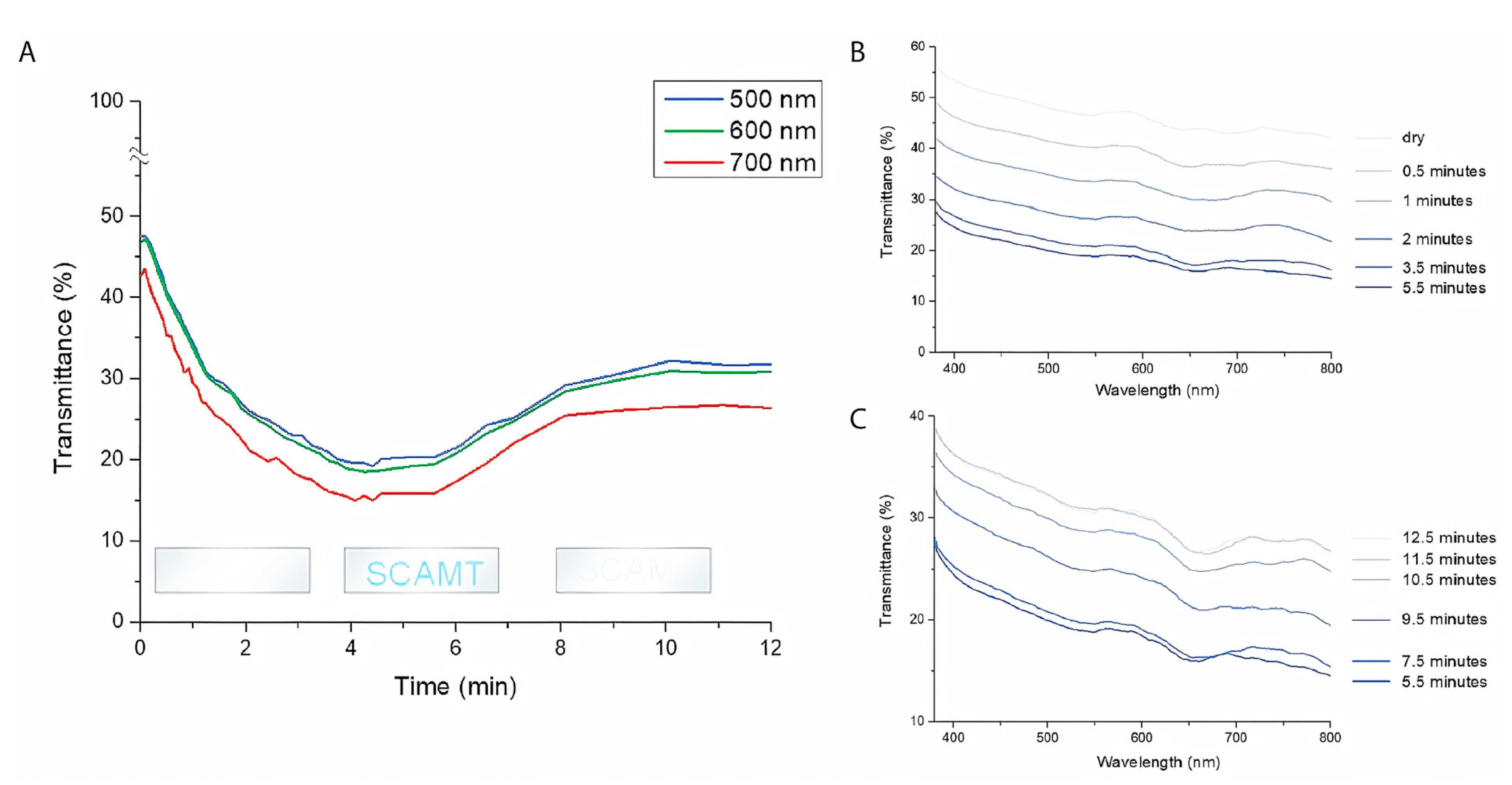 Nanomaterials 10 01538 g008
