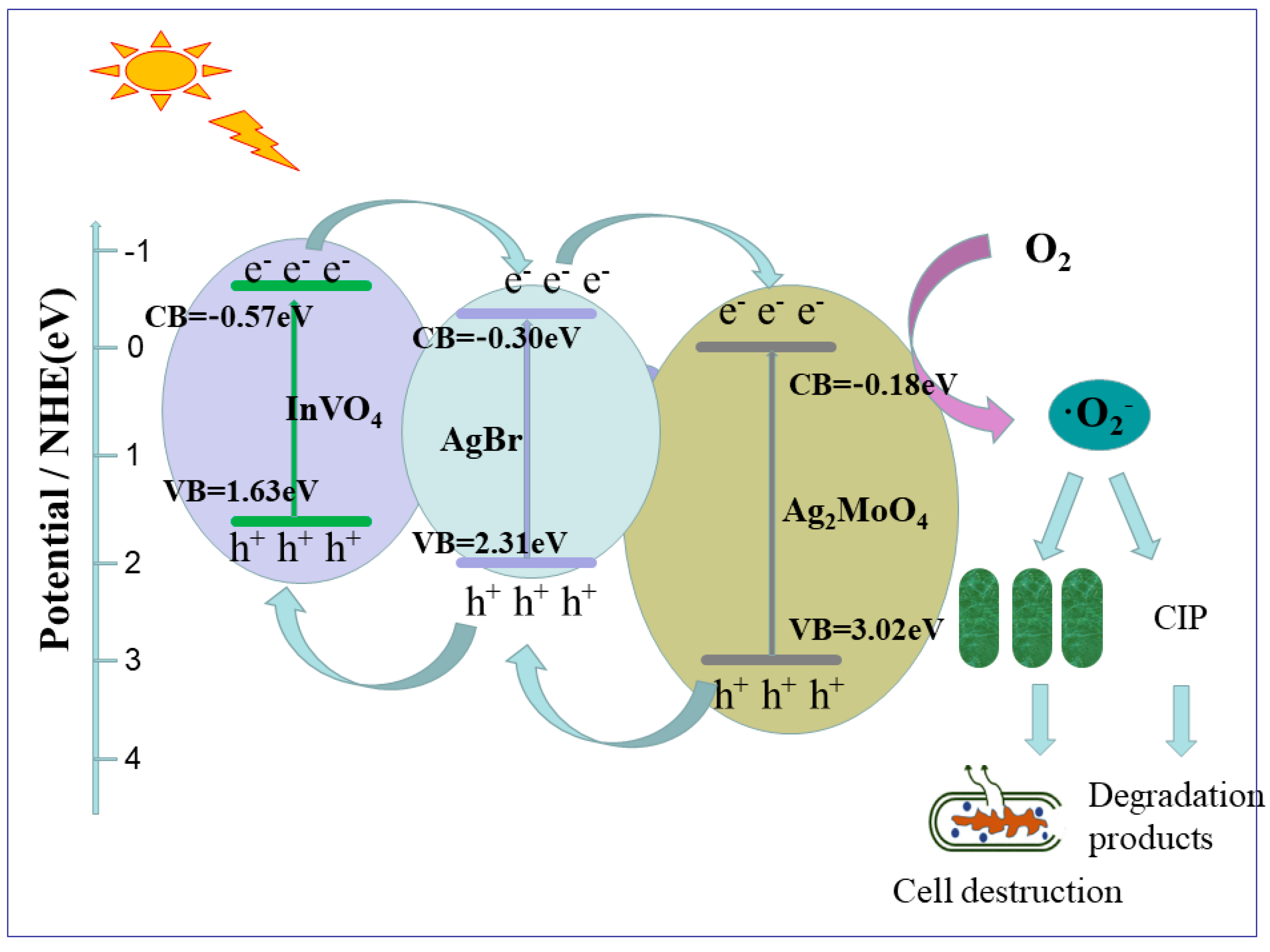 Nanomaterials 10 01541 g007