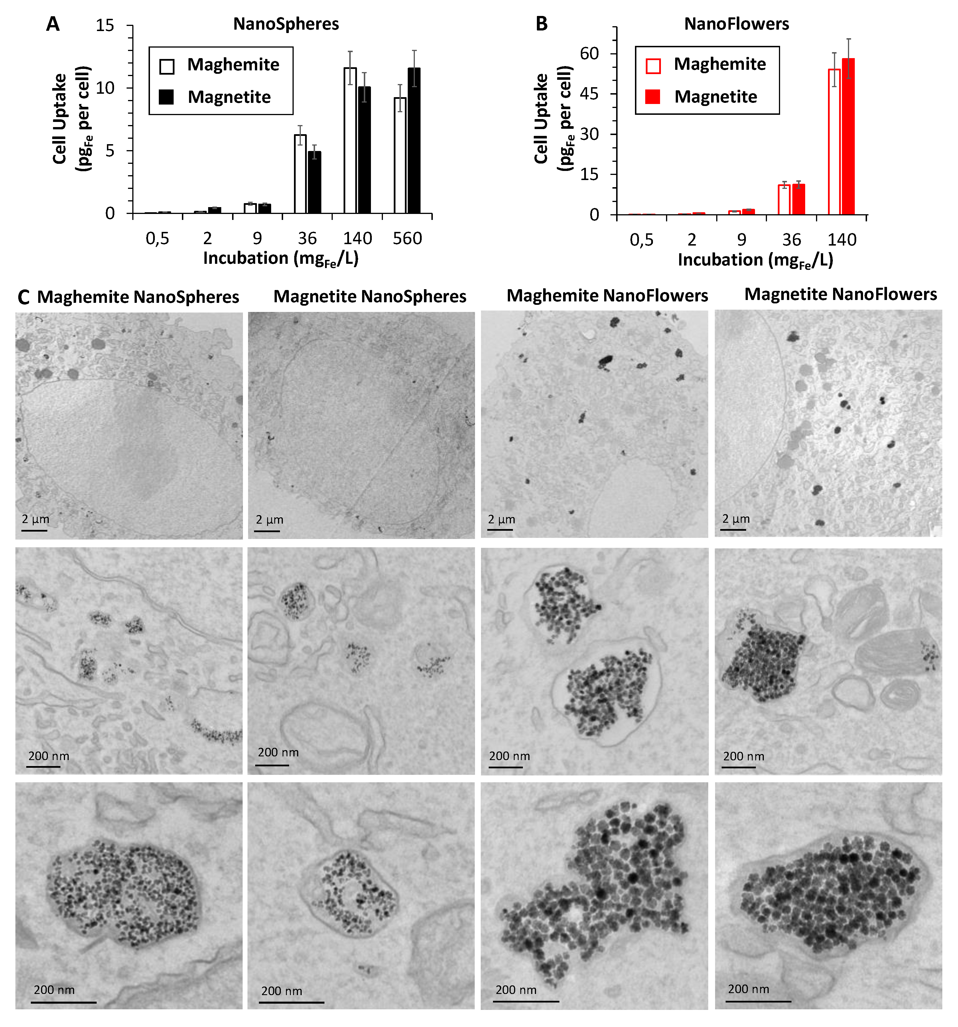 Nanomaterials 10 01548 g004