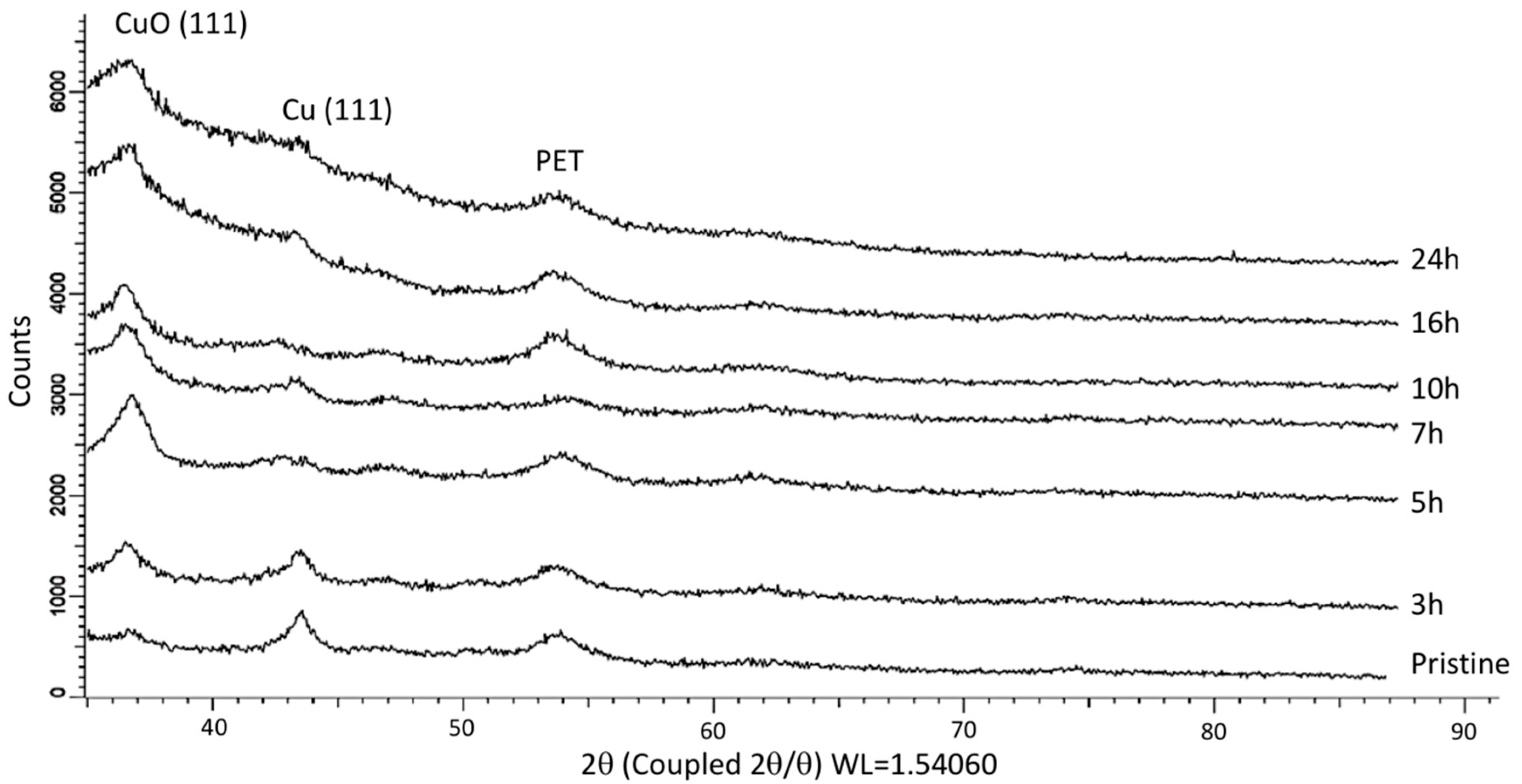 Nanomaterials 10 01552 g001