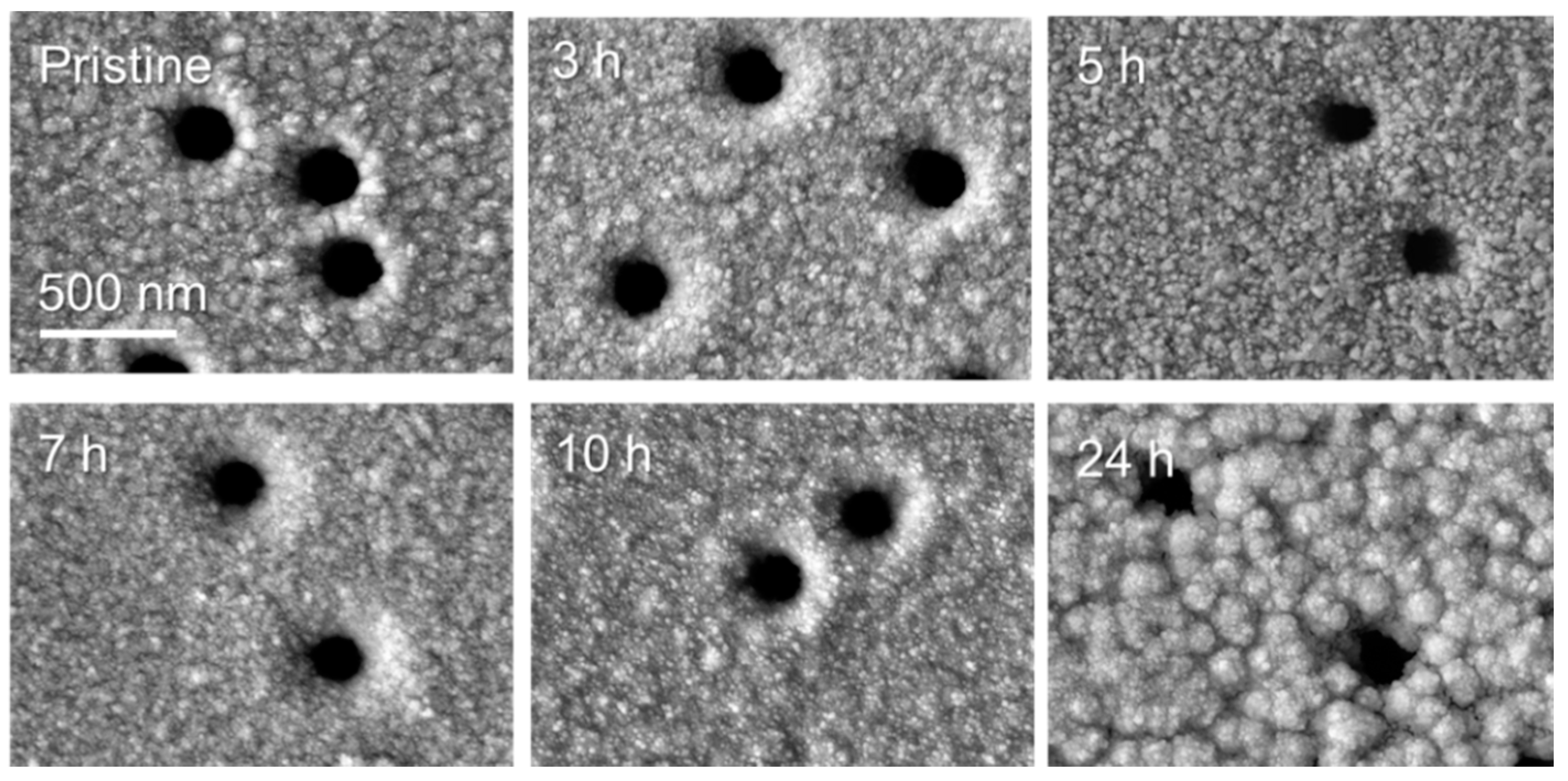 Nanomaterials 10 01552 g004