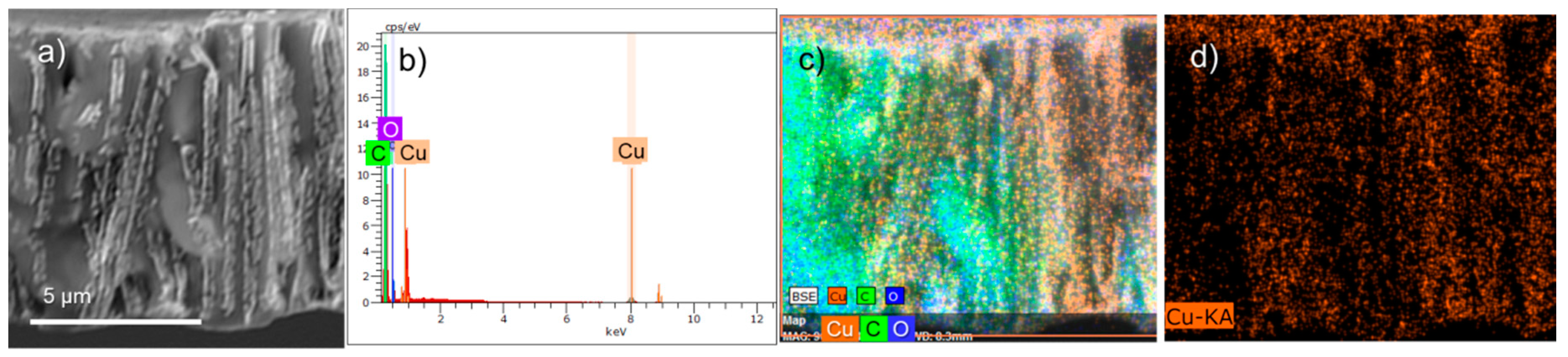 Nanomaterials 10 01552 g006
