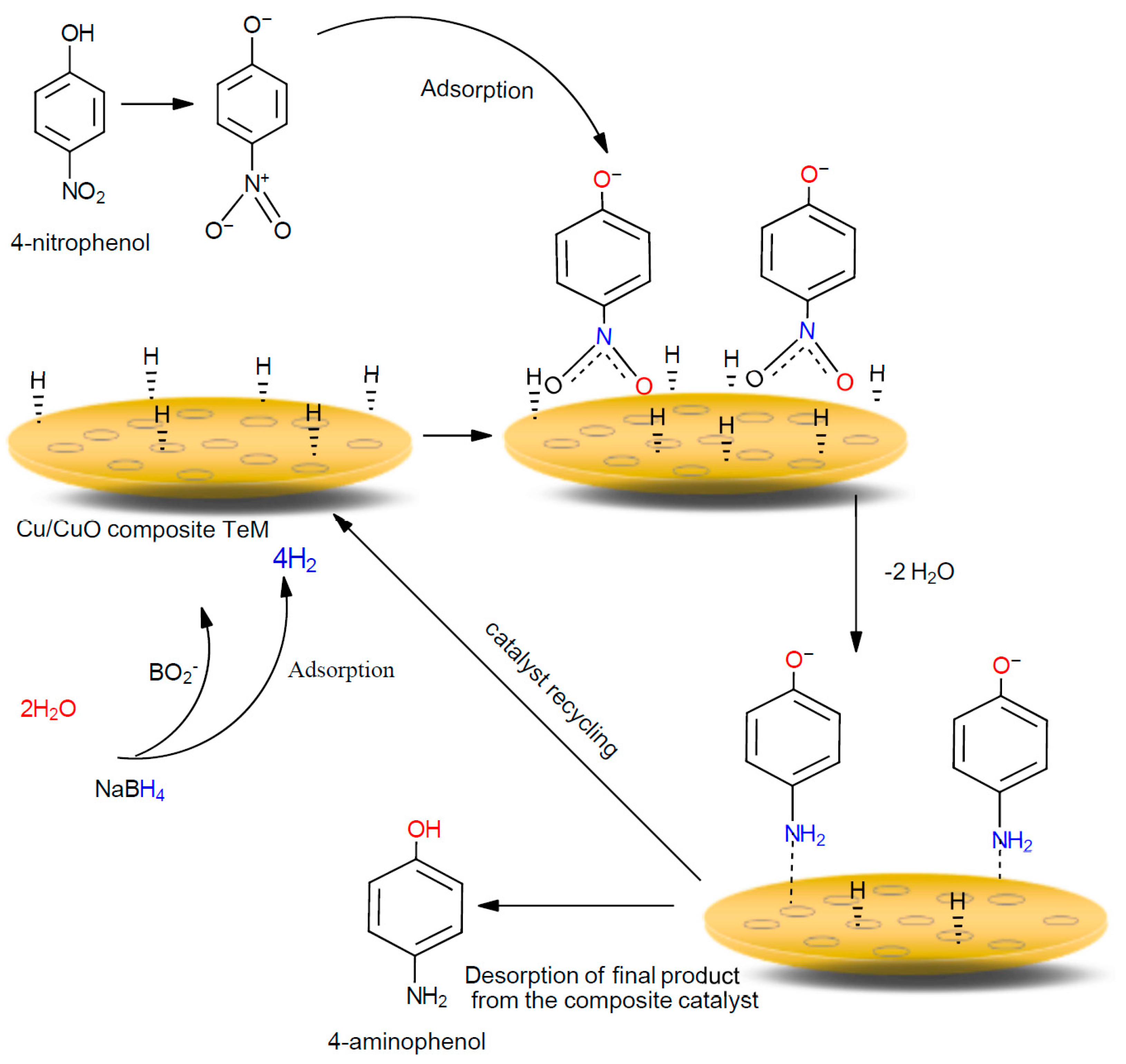 Nanomaterials 10 01552 g007