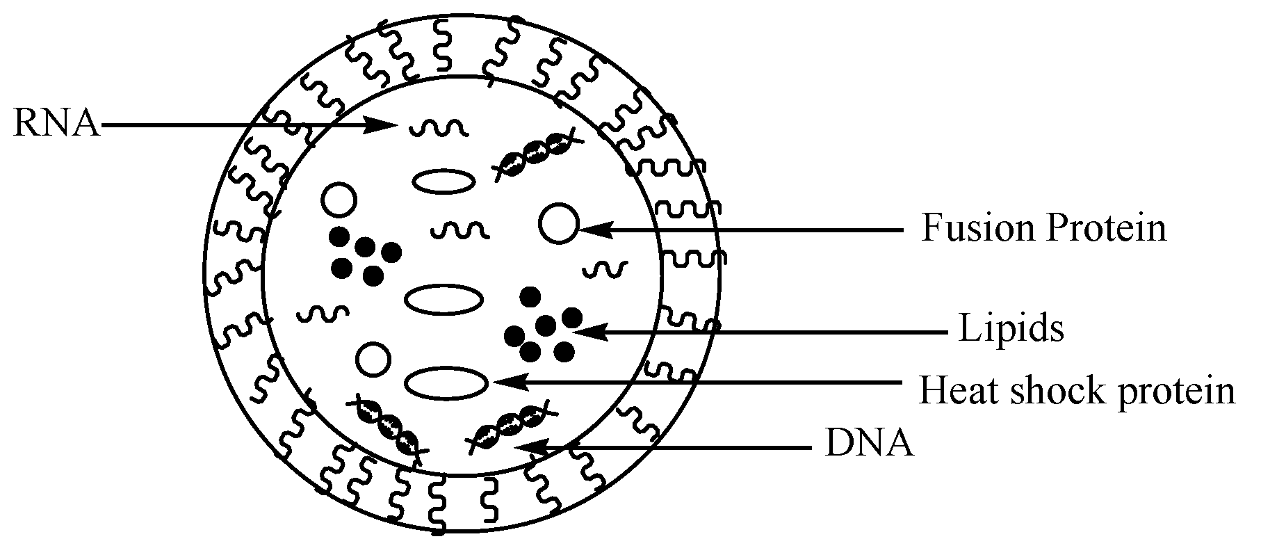 Nanomaterials 10 01556 g009