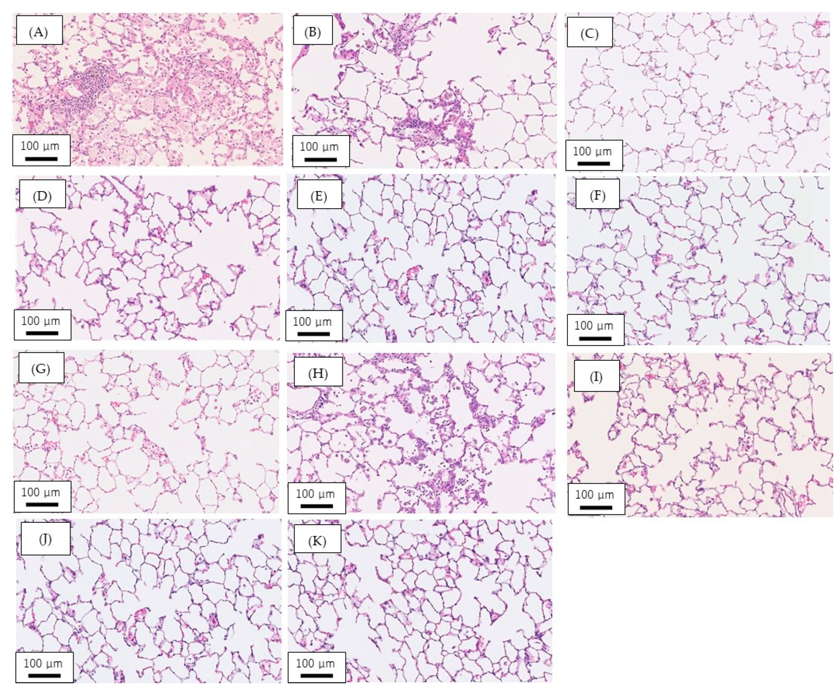 Nanomaterials 10 01563 g002