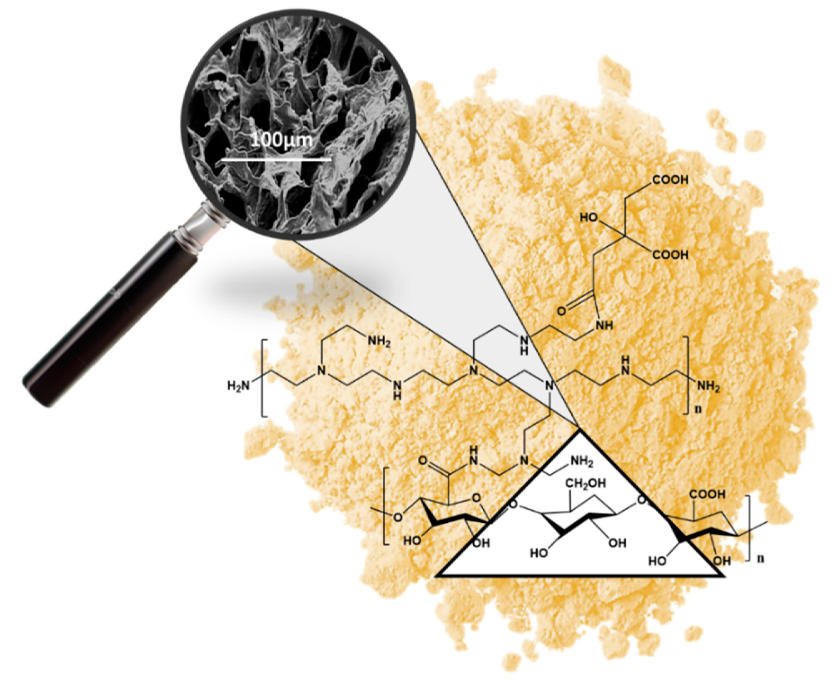 Nanomaterials 10 01570 g002