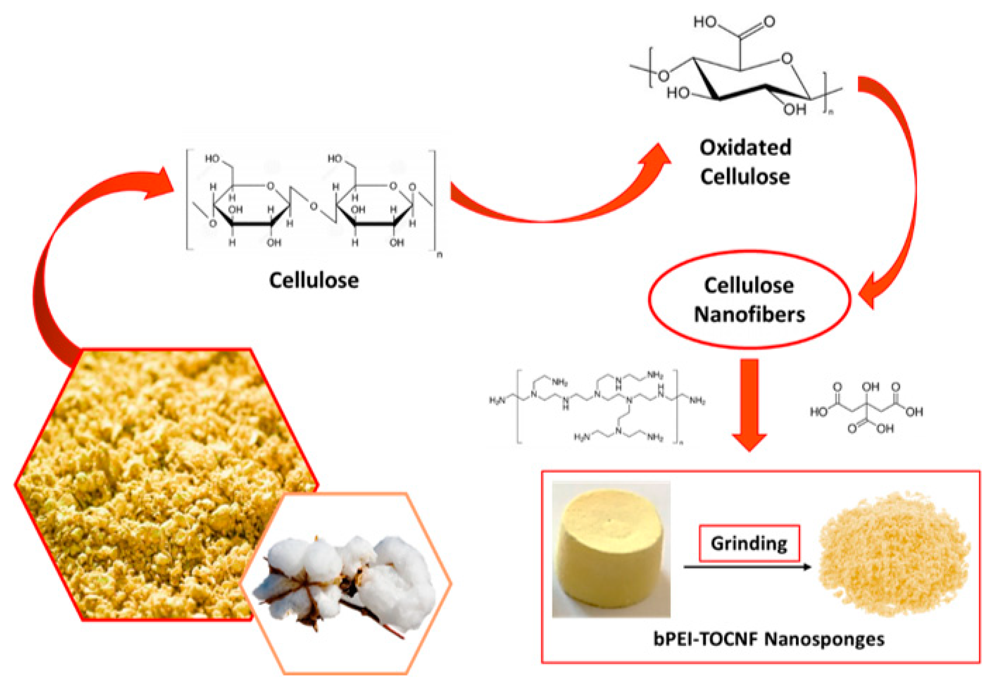 Nanomaterials 10 01570 sch001