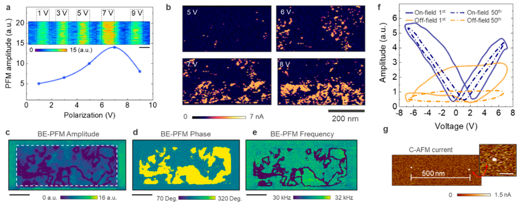 Nanomaterials 10 01576 g002