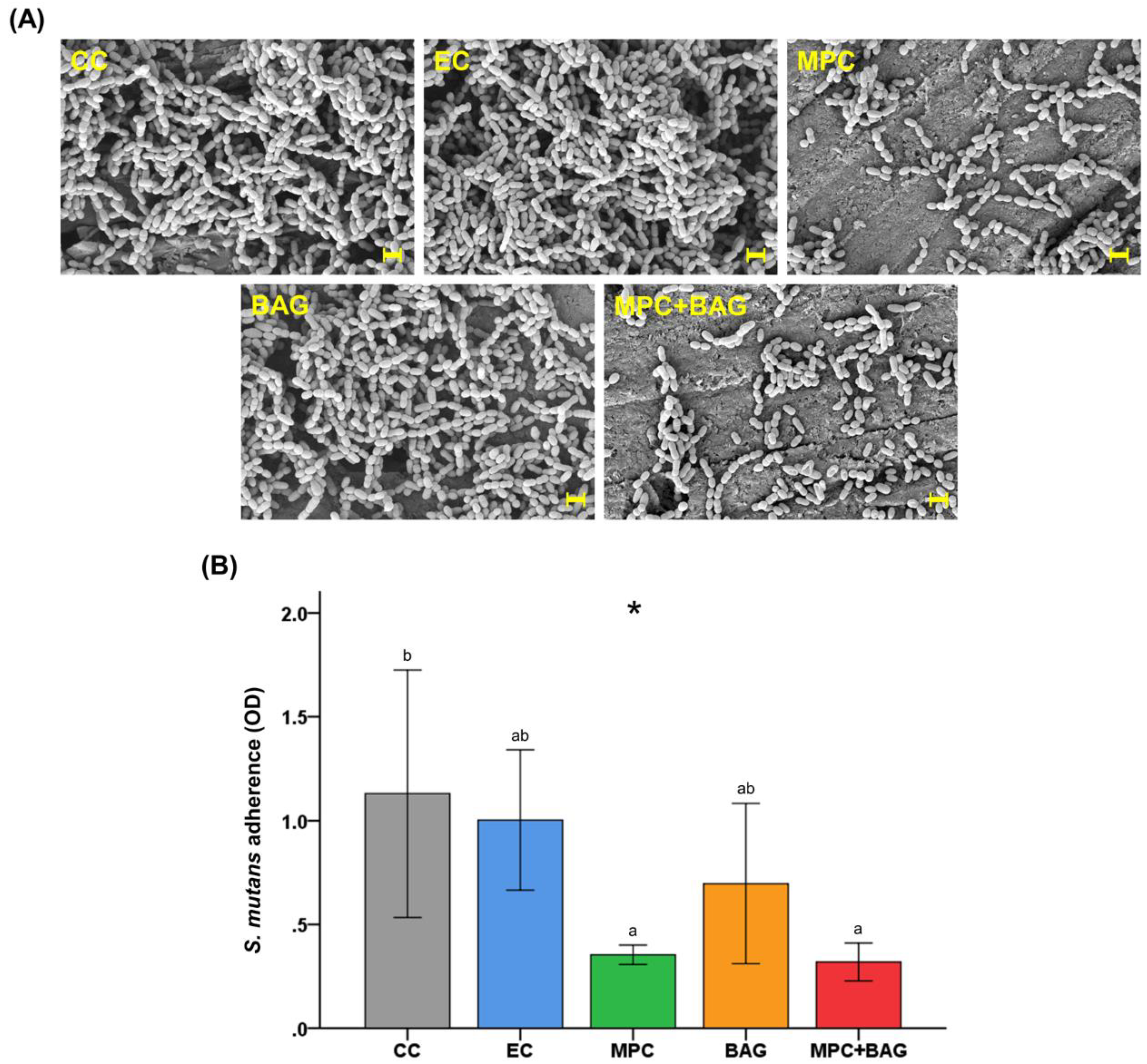Nanomaterials 10 01581 g004