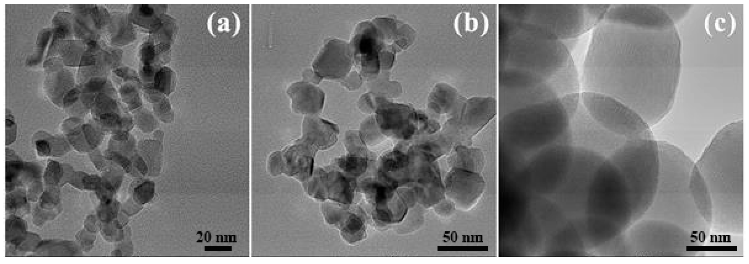 Nanomaterials 10 01591 g001