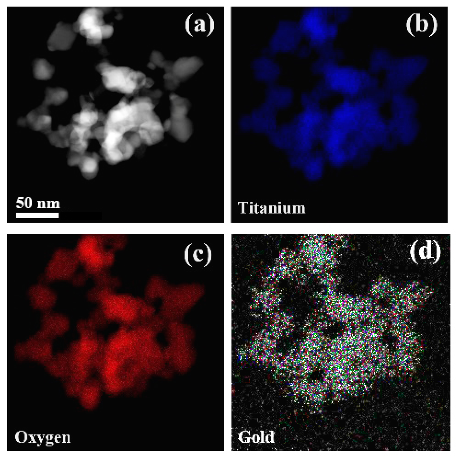 Nanomaterials 10 01591 g003