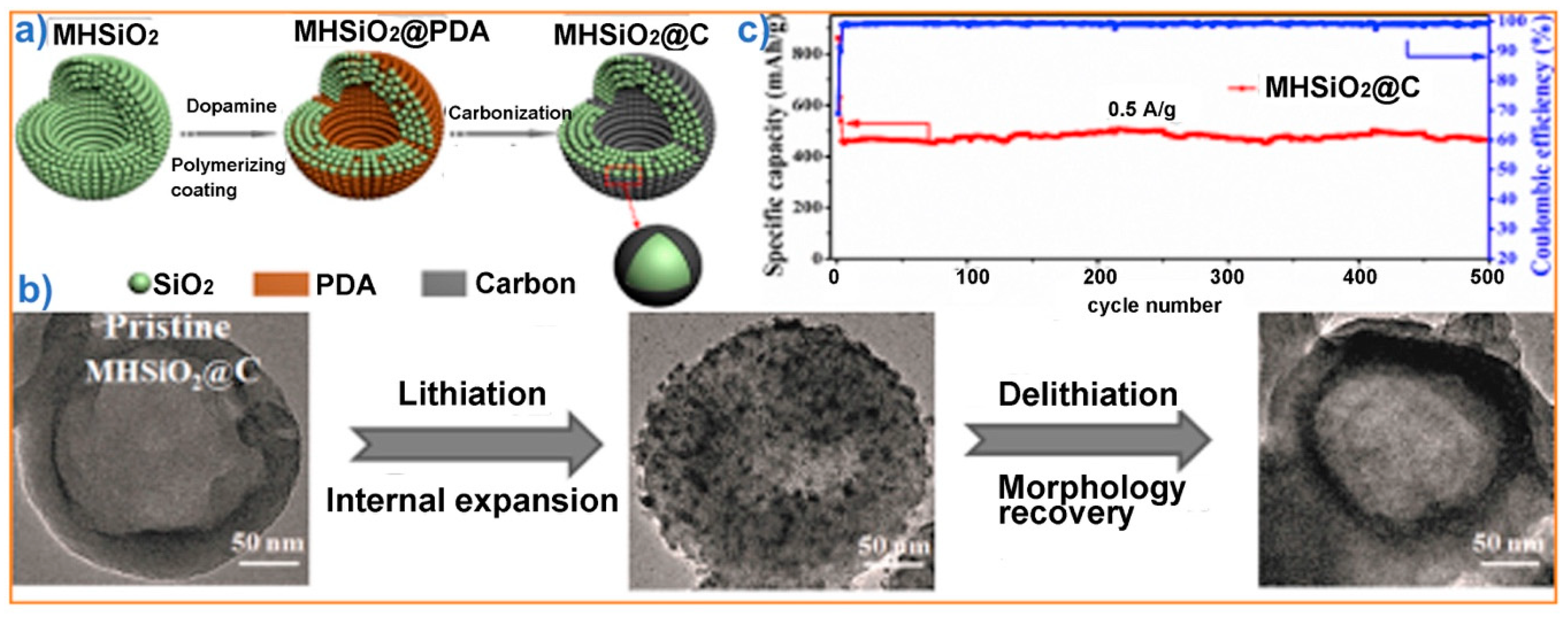 Nanomaterials 10 01599 g005