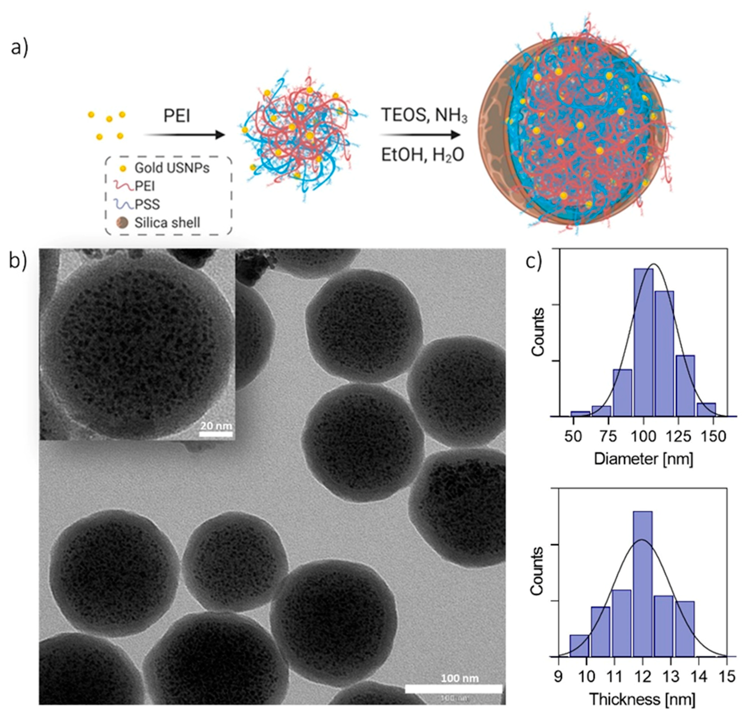 Nanomaterials 10 01600 g001