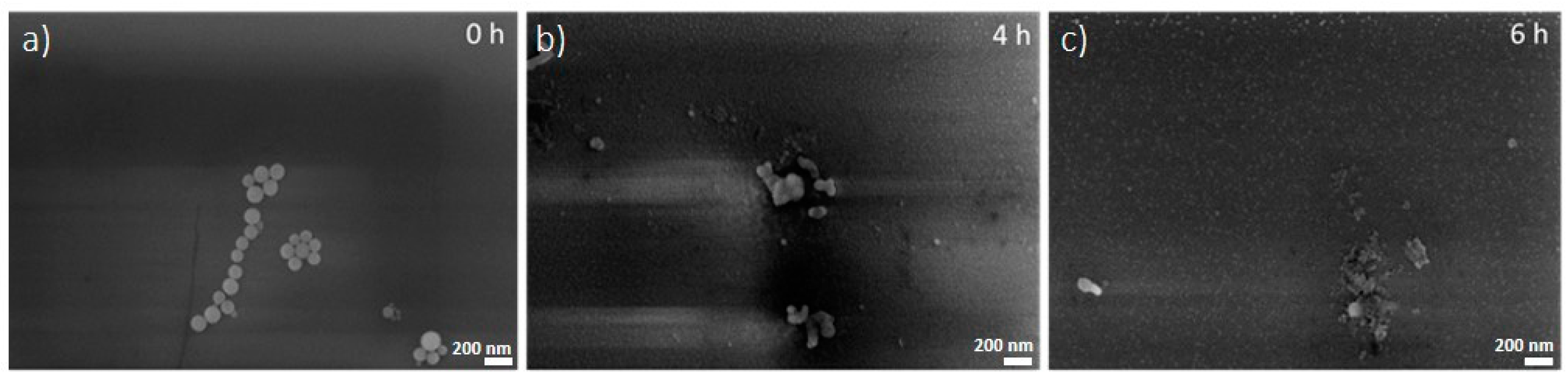 Nanomaterials 10 01600 g002
