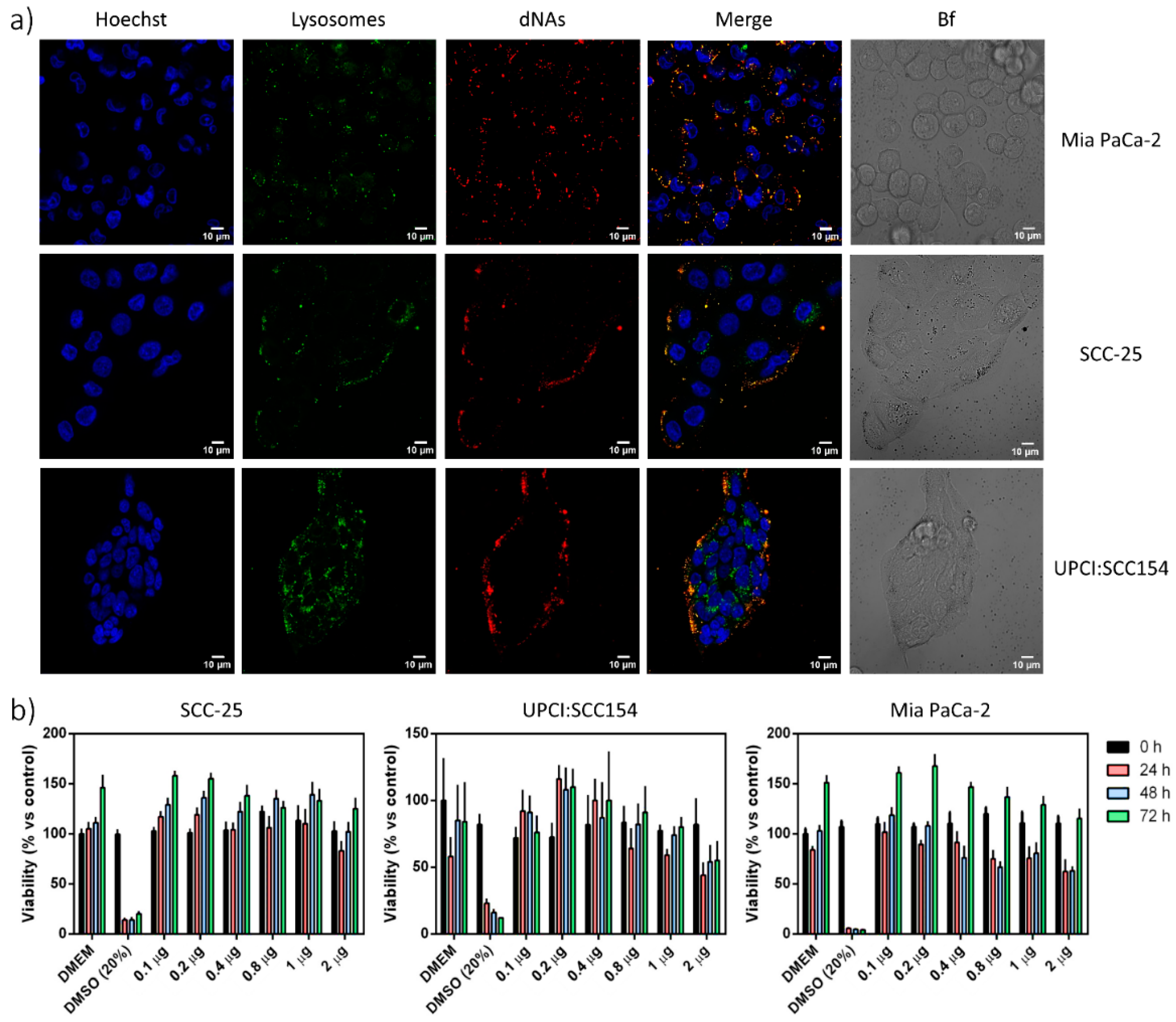 Nanomaterials 10 01600 g003