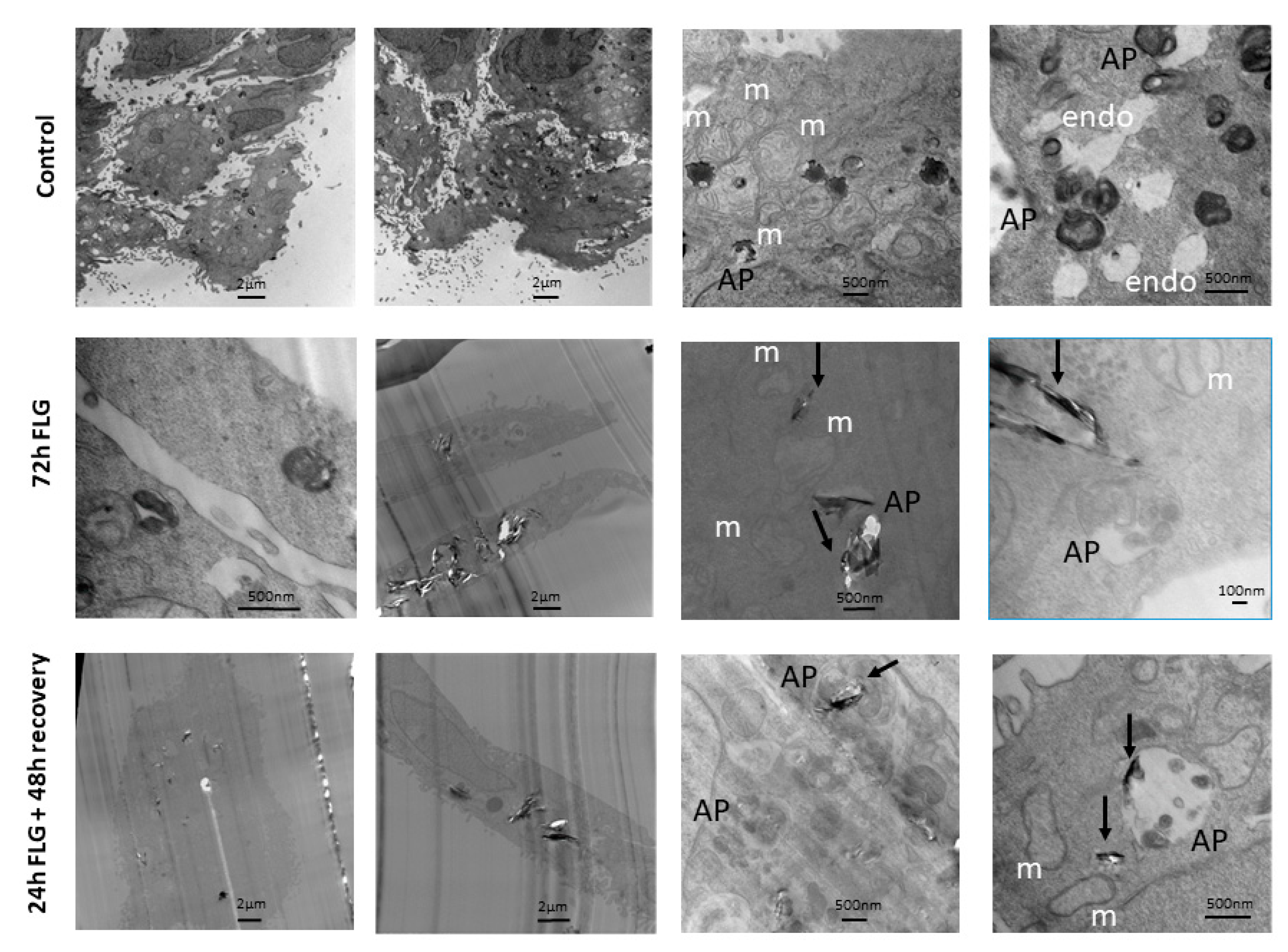 Nanomaterials 10 01602 g005 Nanomaterials 10 01602 g005