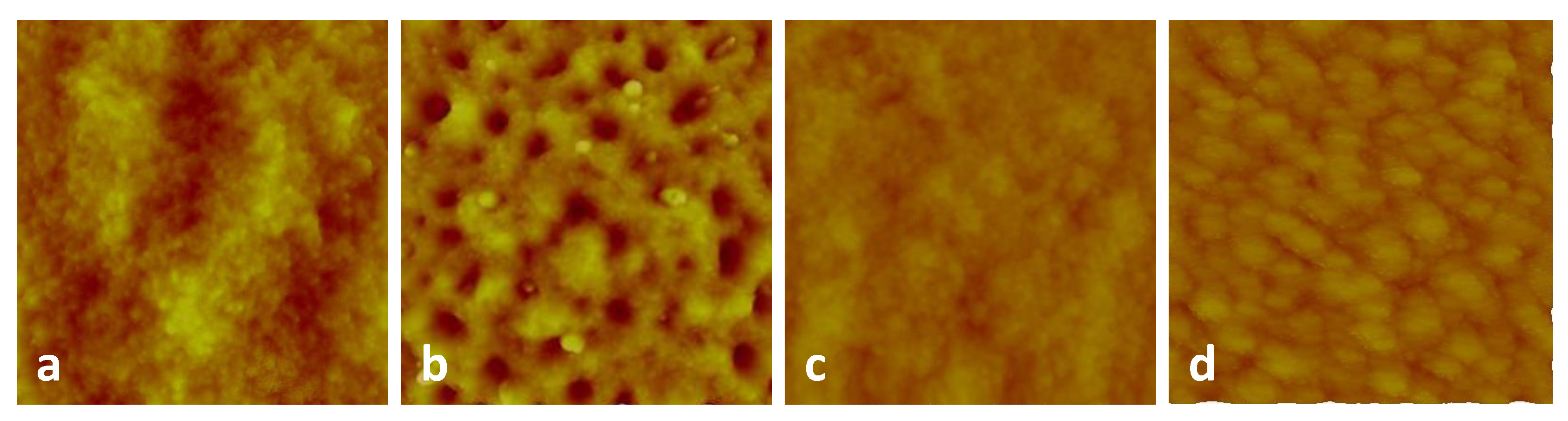 Nanomaterials 10 01605 g002