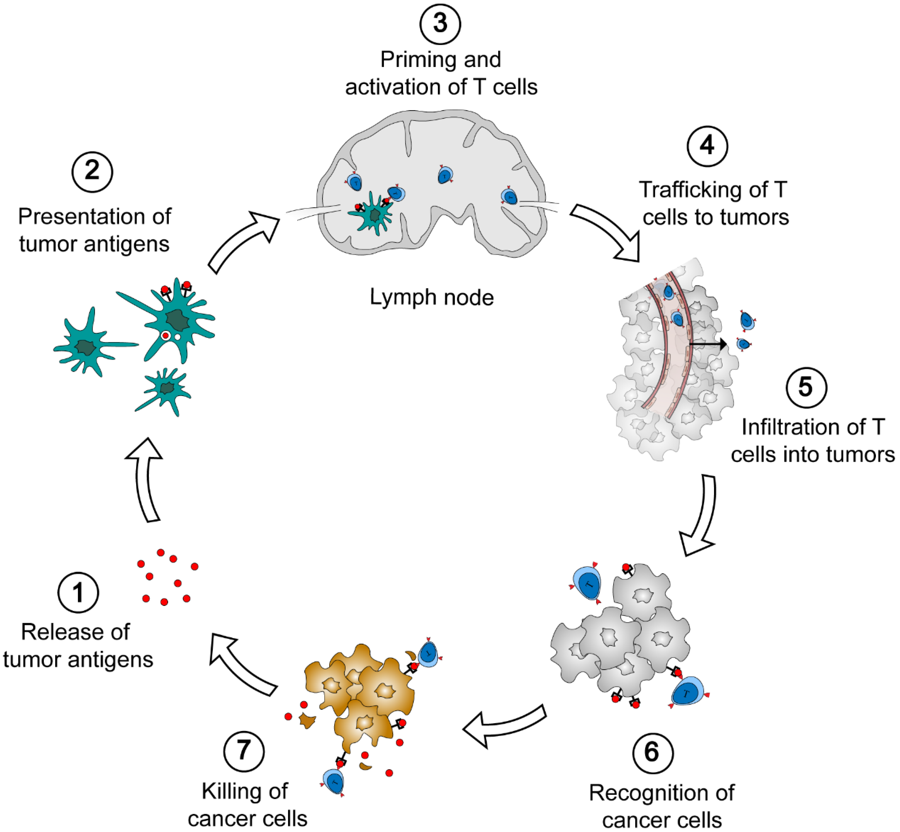Nanomaterials 10 01613 g001