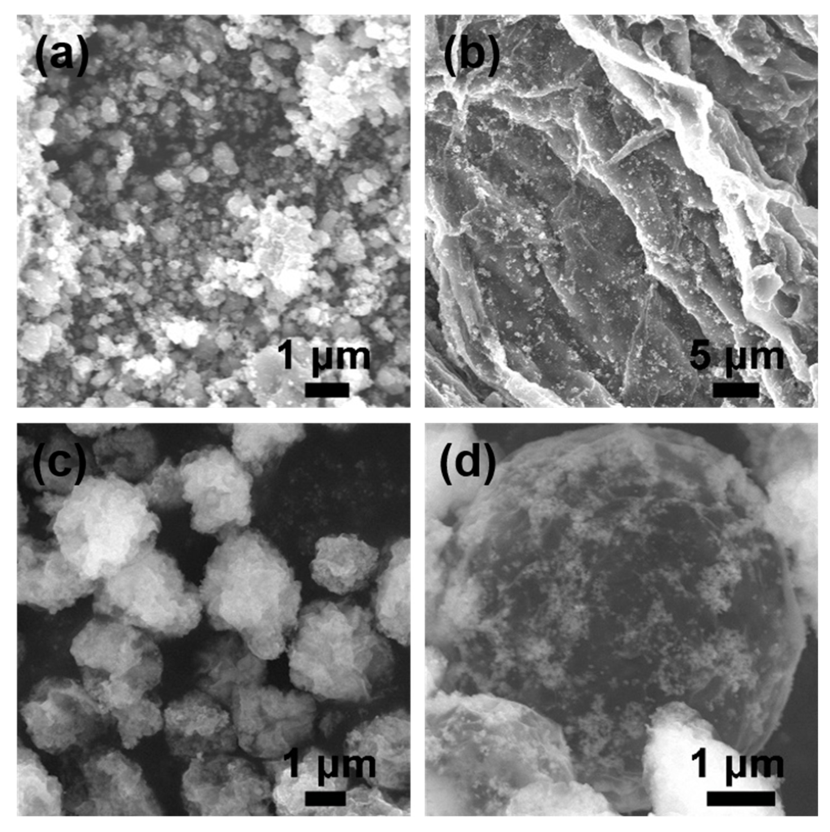 Nanomaterials 10 01633 g002