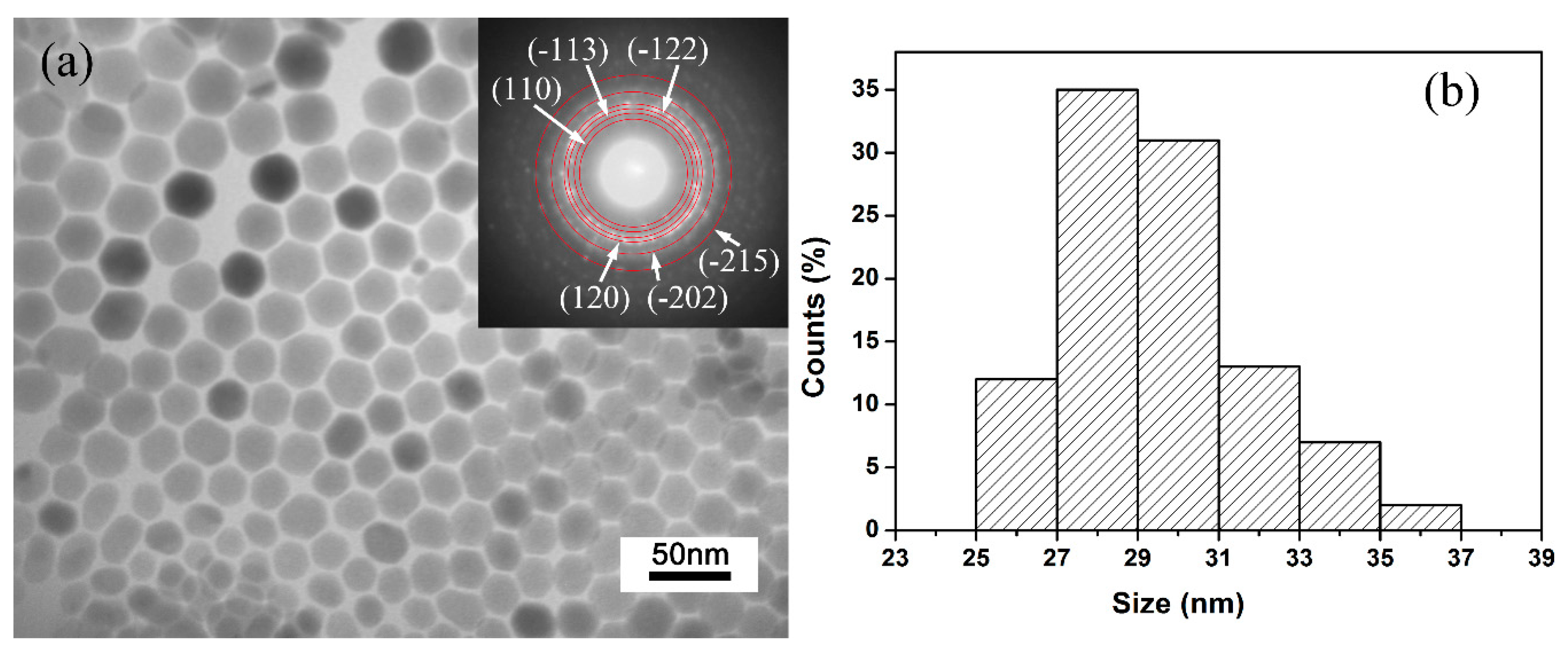 Nanomaterials 10 01640 g001 Nanomaterials 10 01640 g001