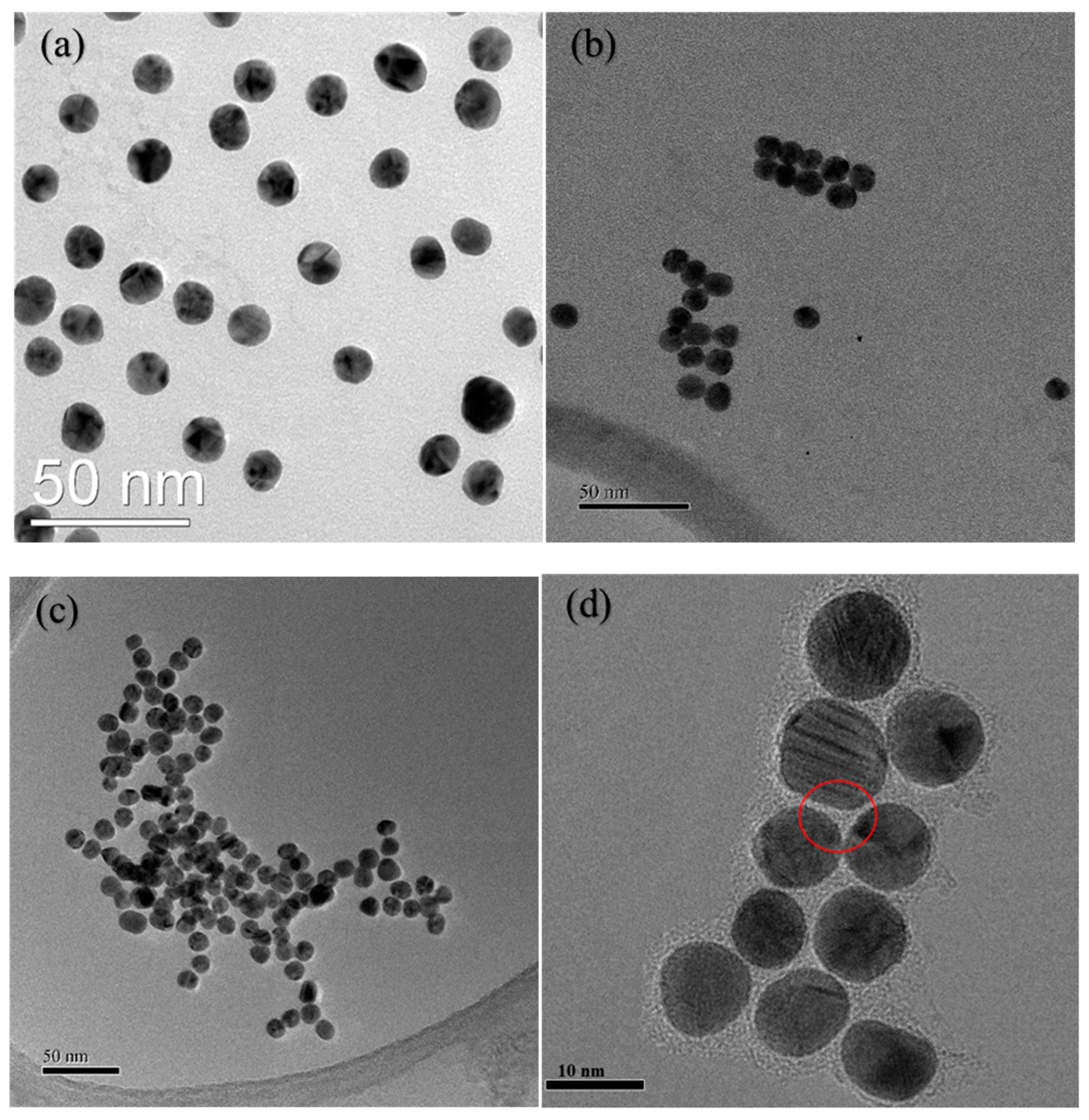 Nanomaterials 10 01644 g007