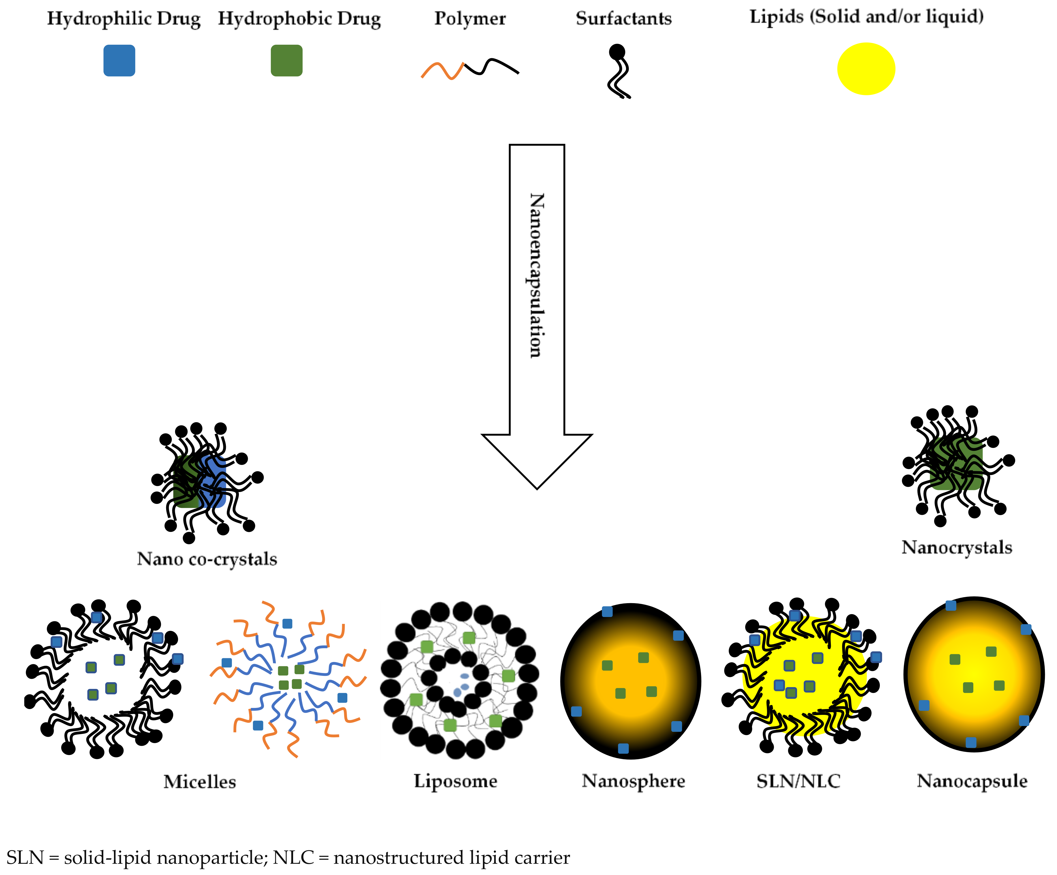Nanomaterials 10 01649 g001