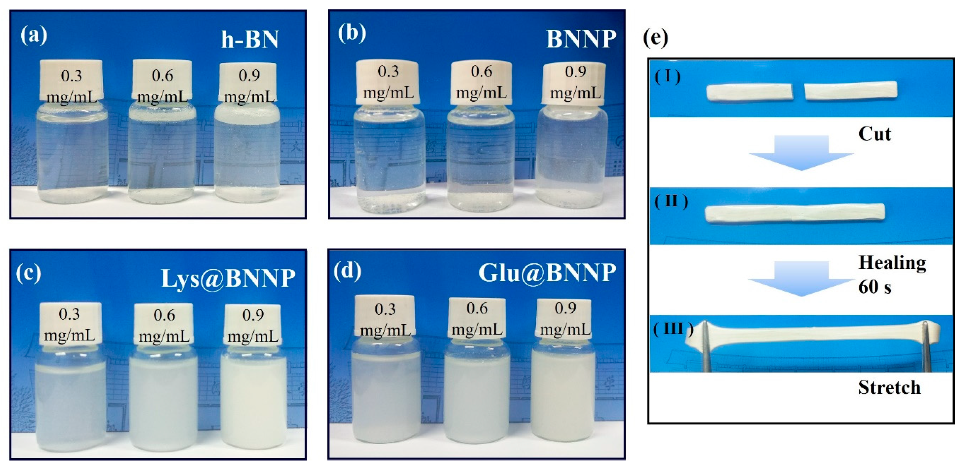 Nanomaterials 10 01652 g004 Nanomaterials 10 01652 g004