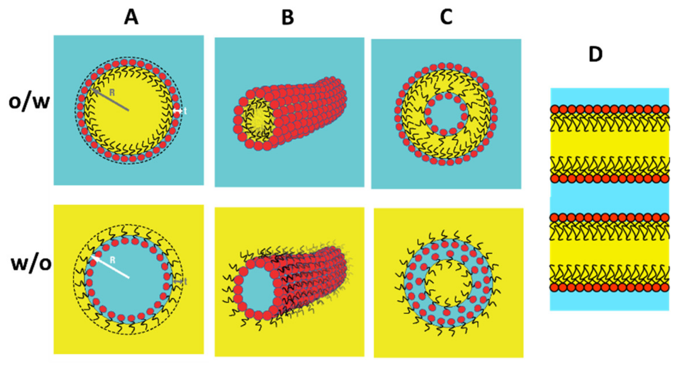 Nanomaterials 10 01657 g001