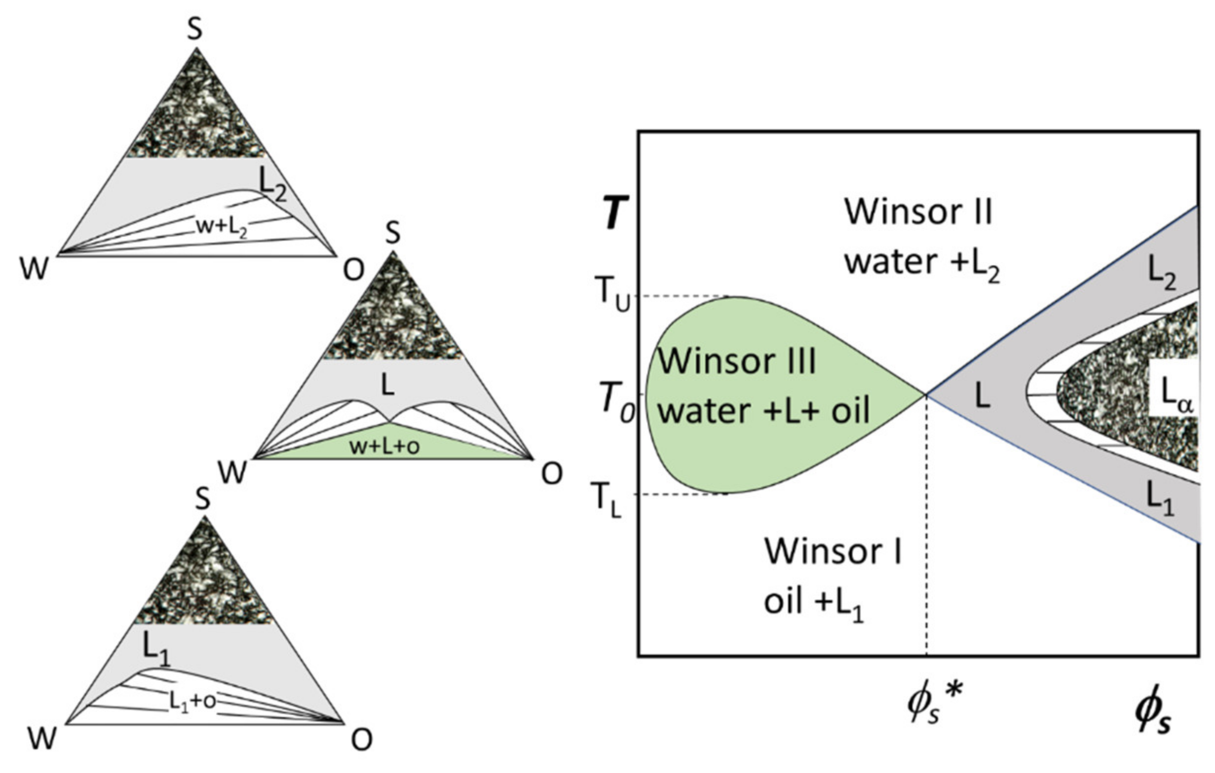 Nanomaterials 10 01657 g007