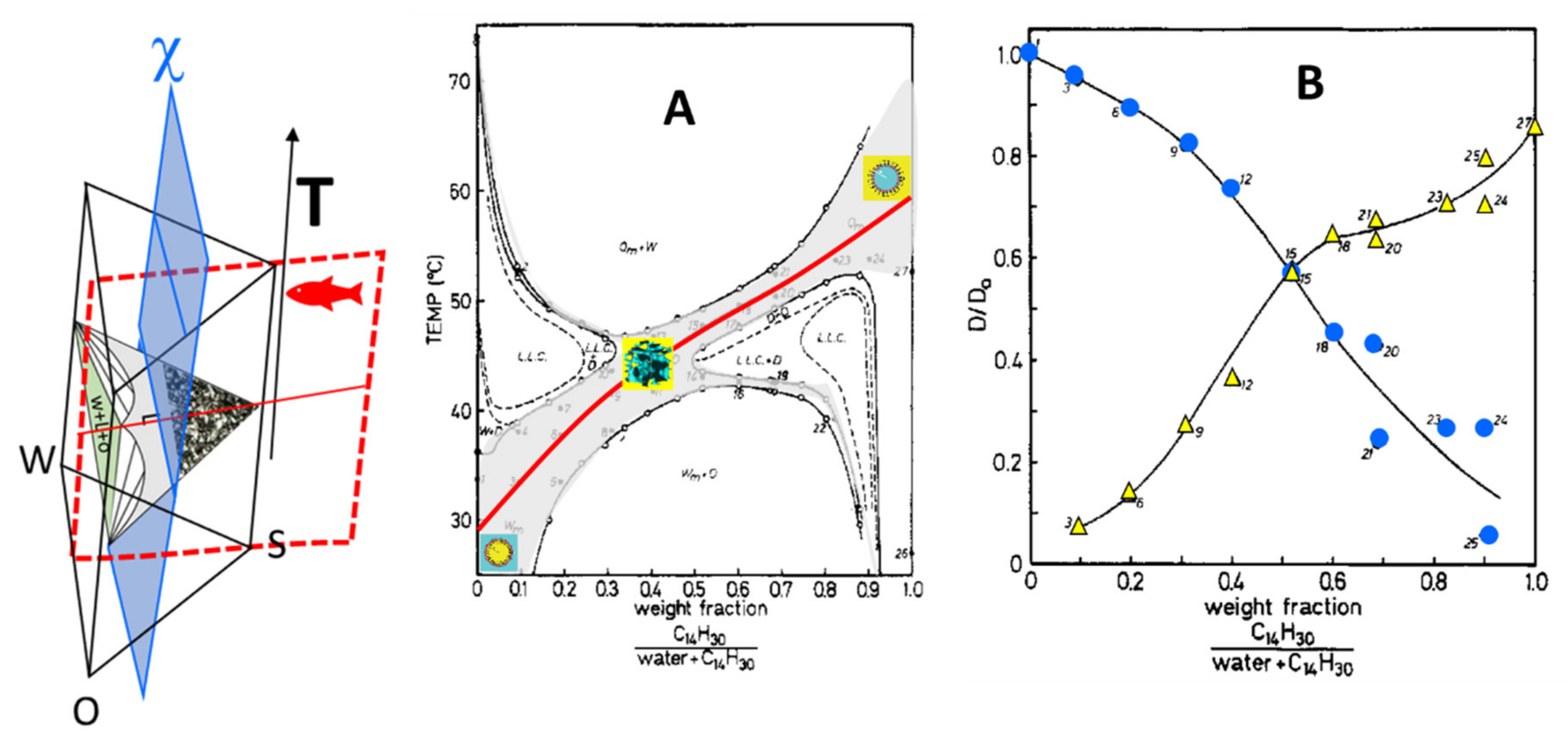 Nanomaterials 10 01657 g008