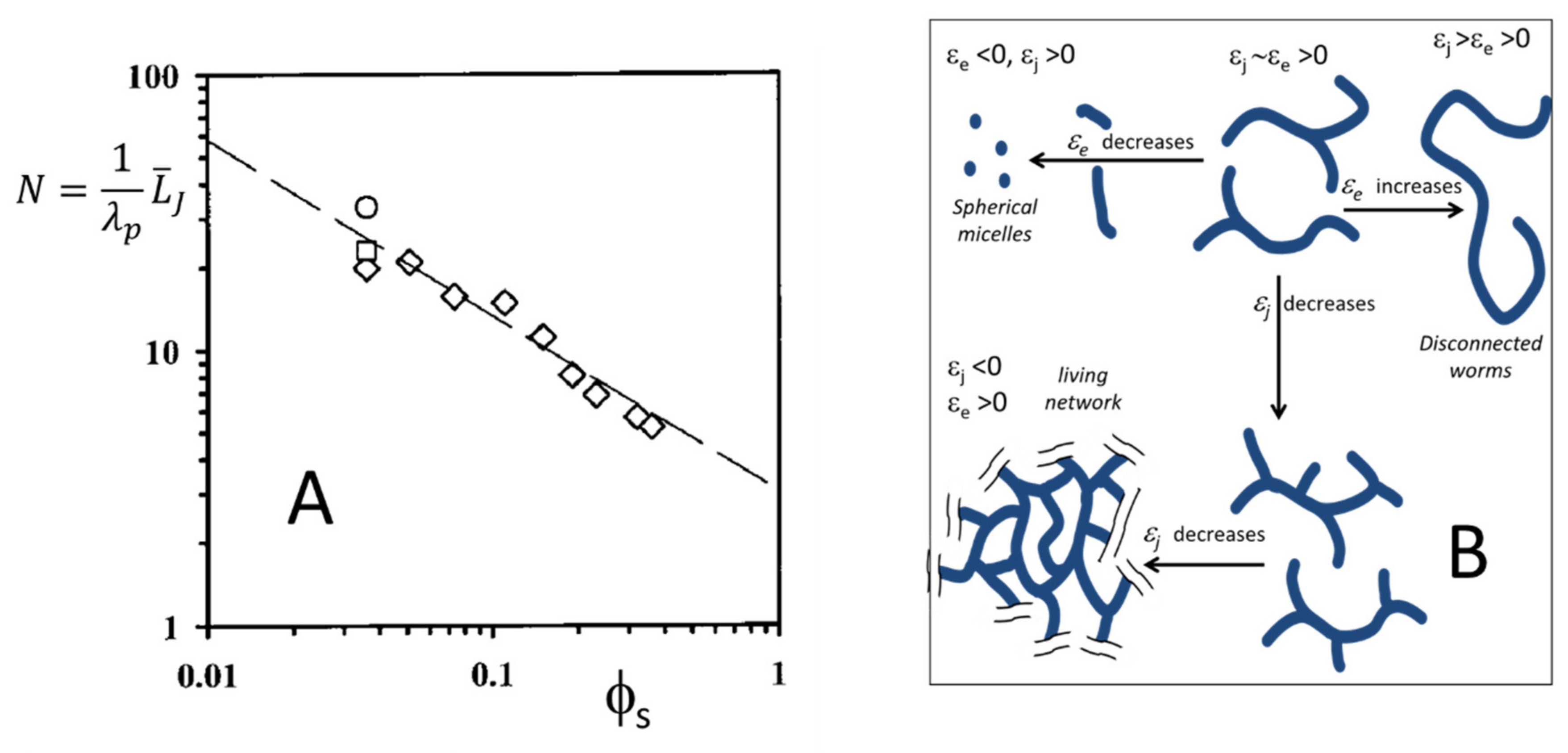 Nanomaterials 10 01657 g009