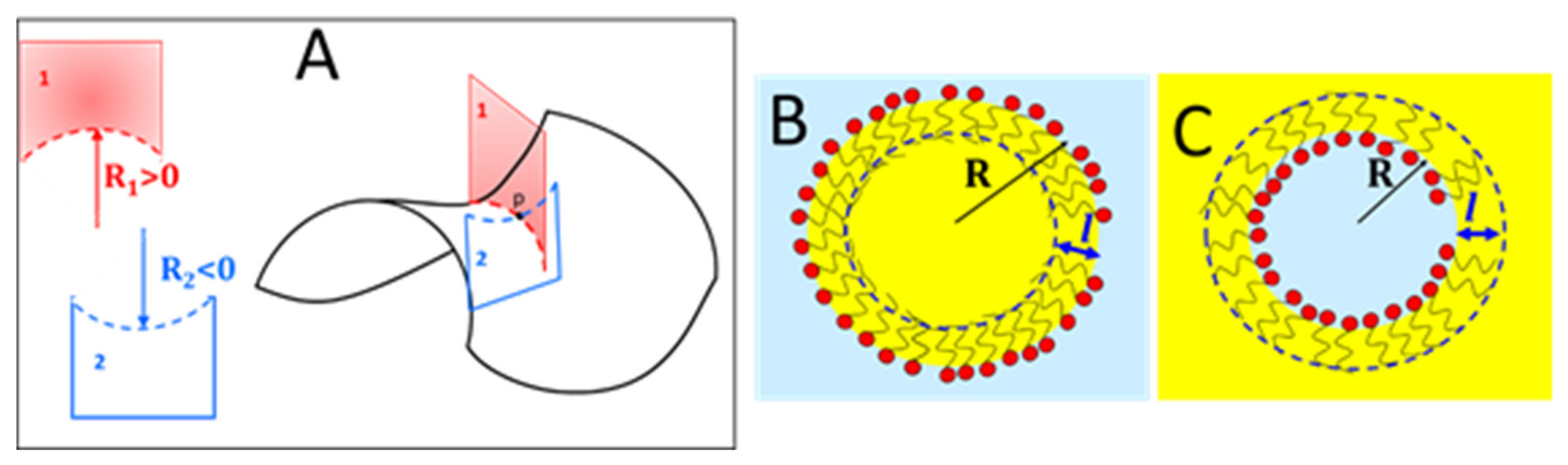Nanomaterials 10 01657 g011